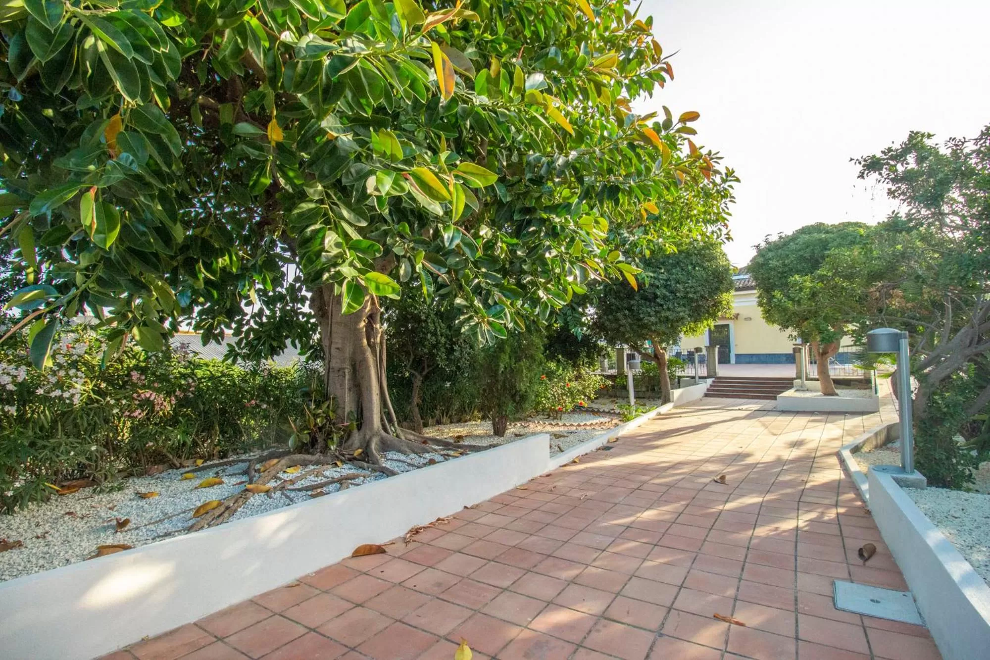 Royal Playa Suite and Apartament -private parking- self chek out