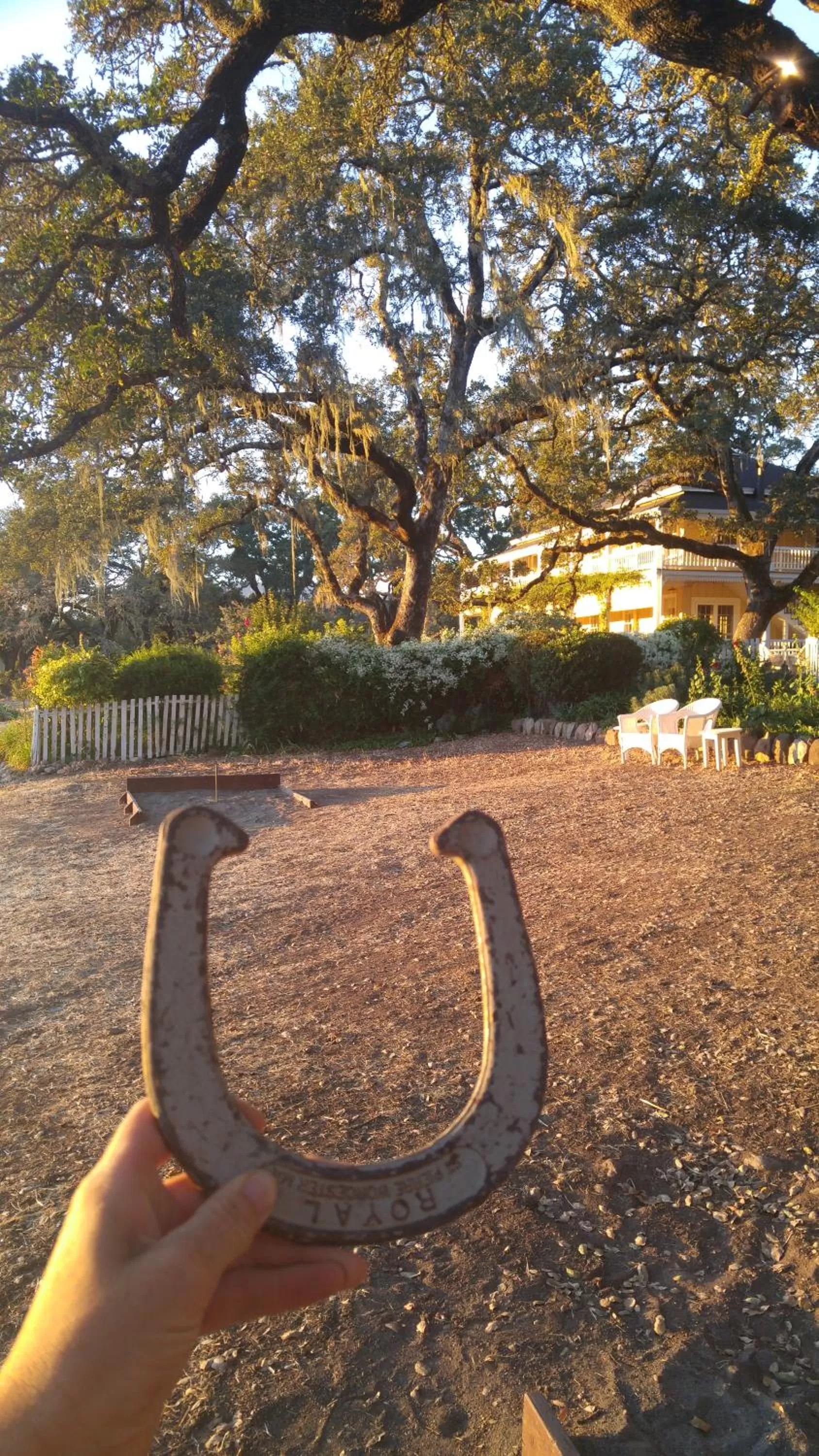 Activities in Beltane Ranch