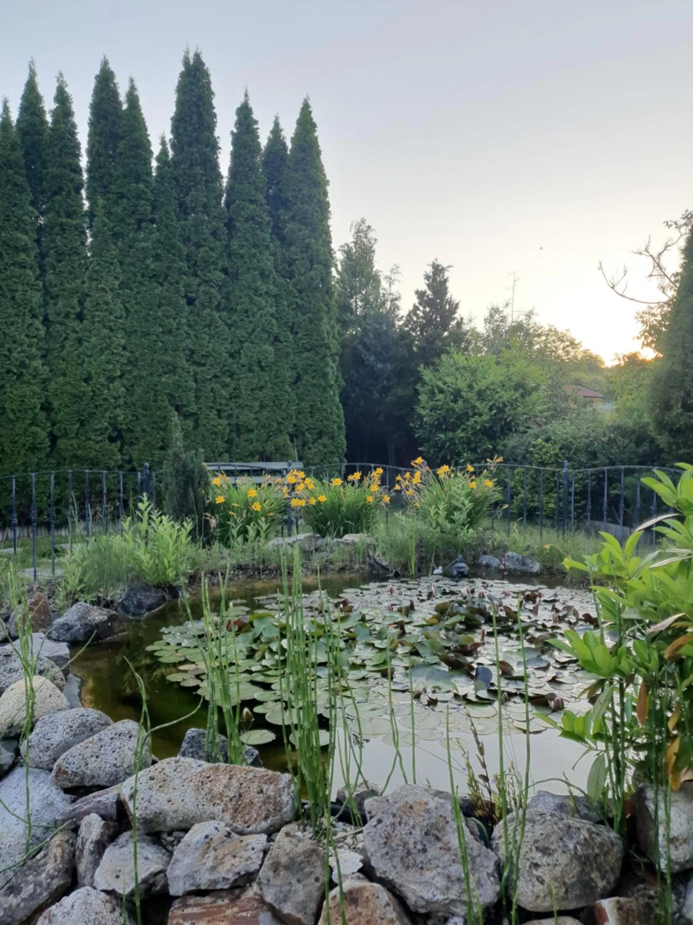 Garden in Kulacs Csarda Panzio