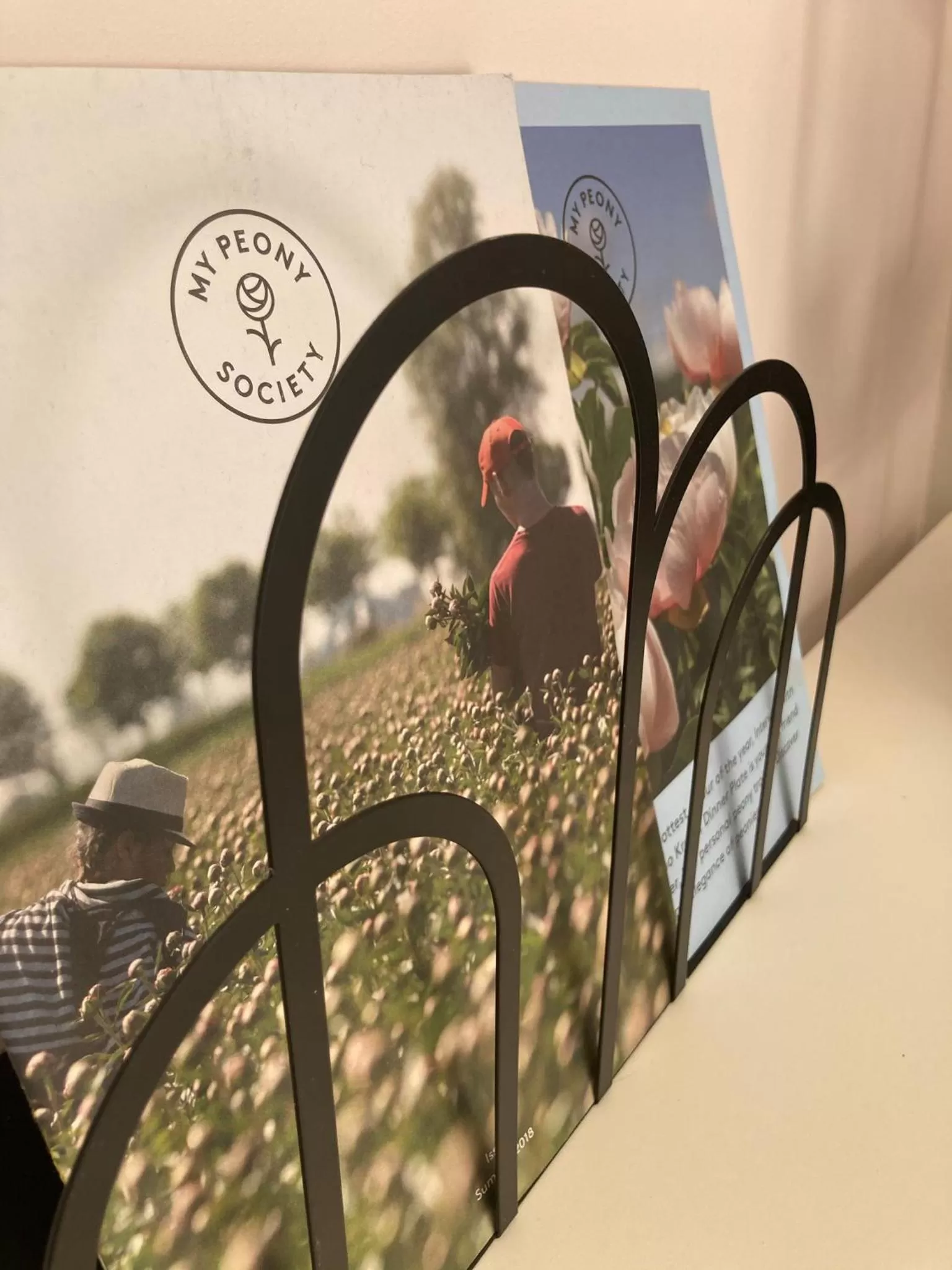 Decorative detail in Paauwze