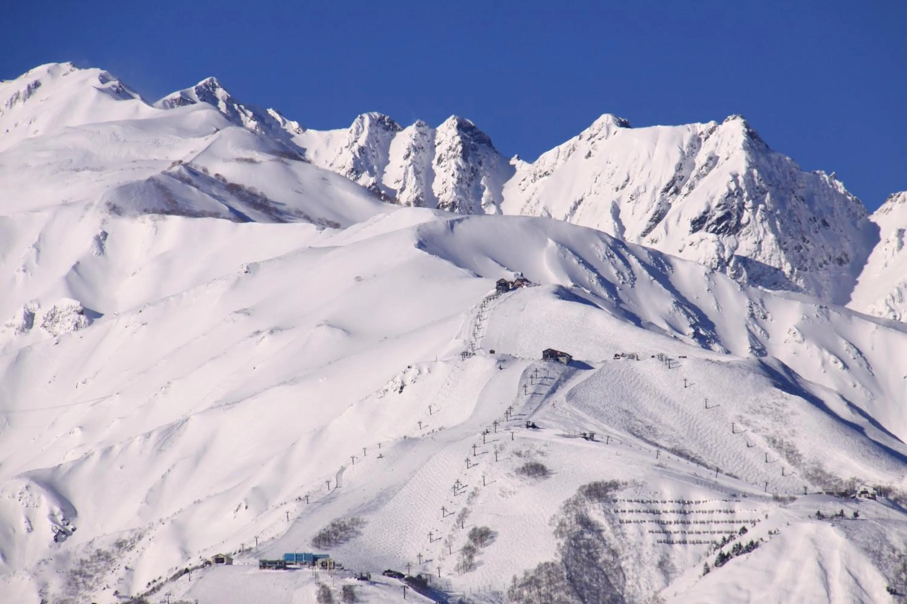 Skiing in Hotel Hakuba