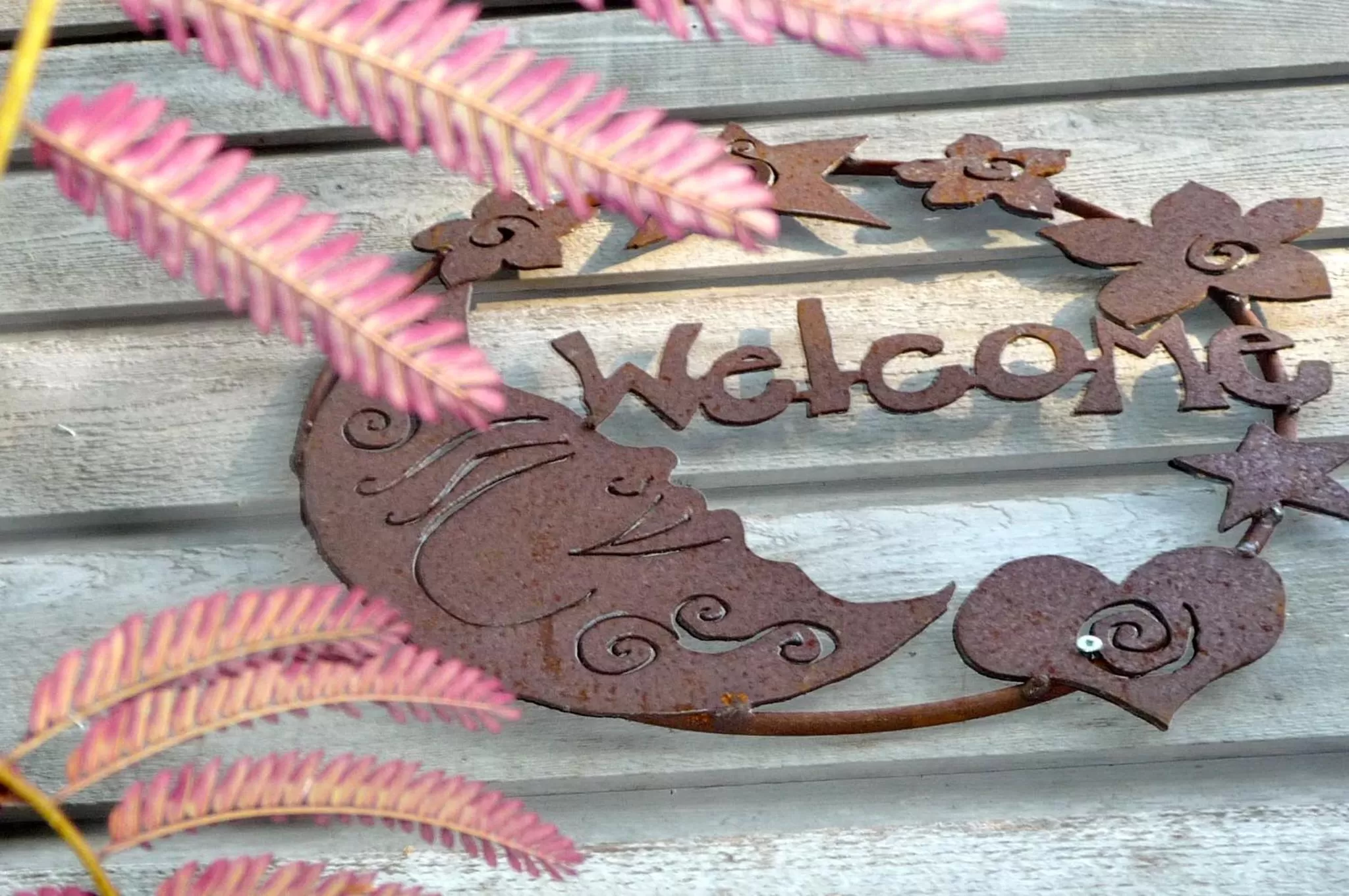 Other in Magnolia Petal