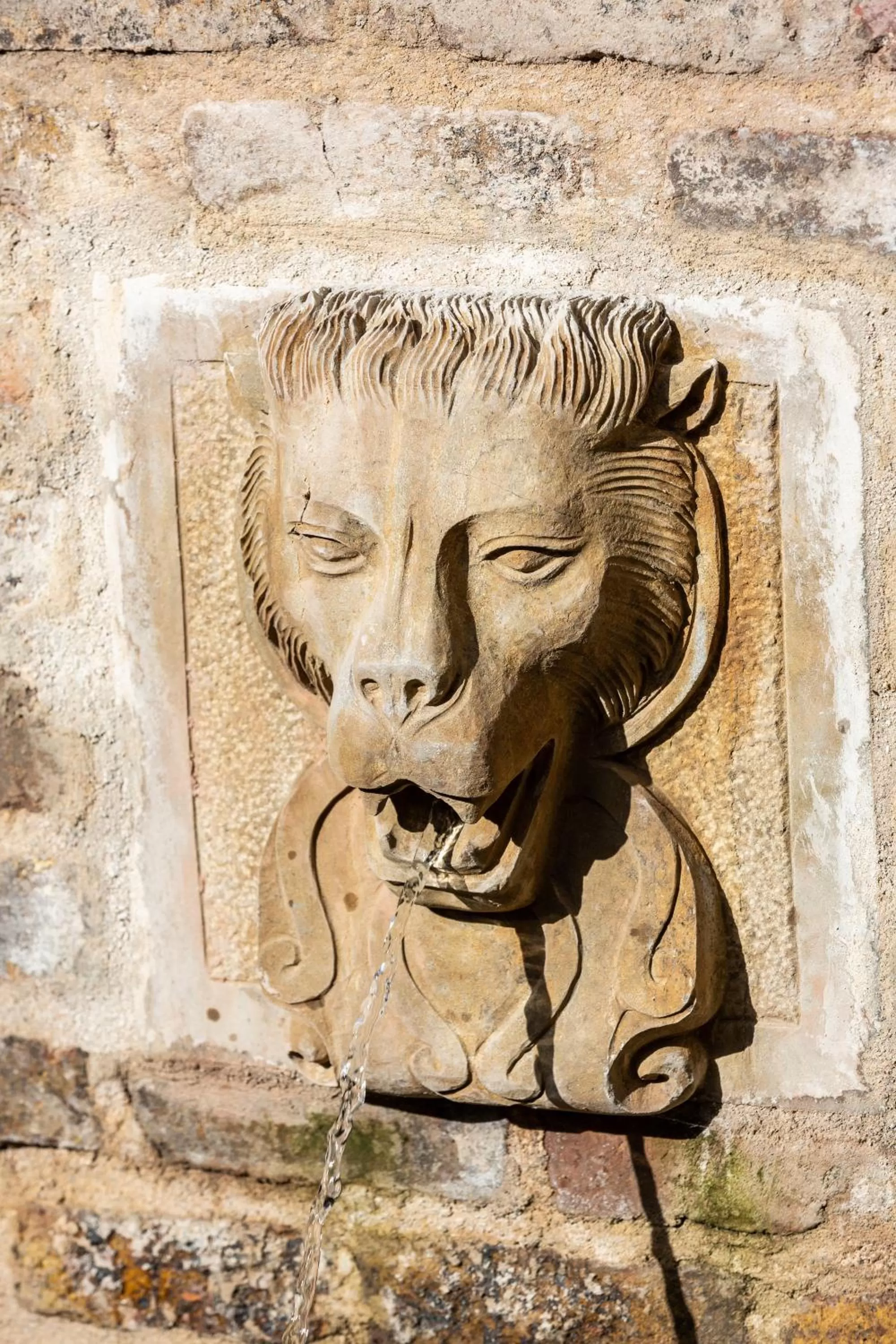 Garden in Gardiner Lodge