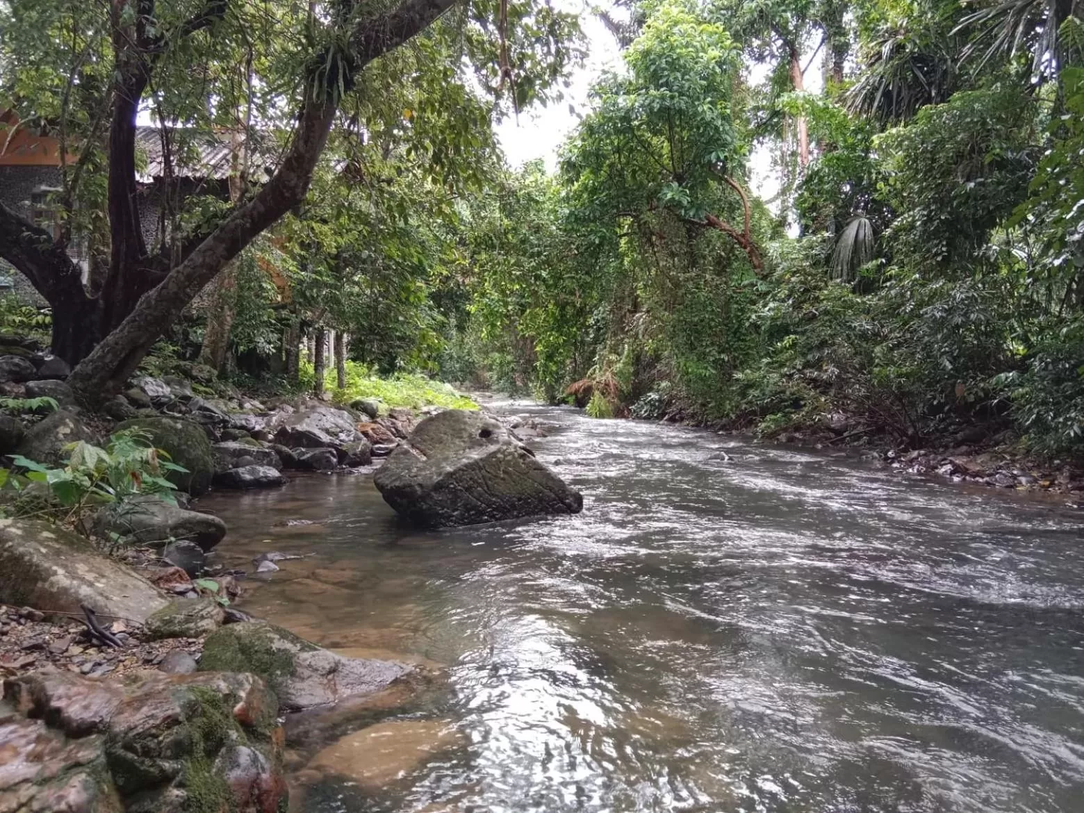 Tree Tops River Huts