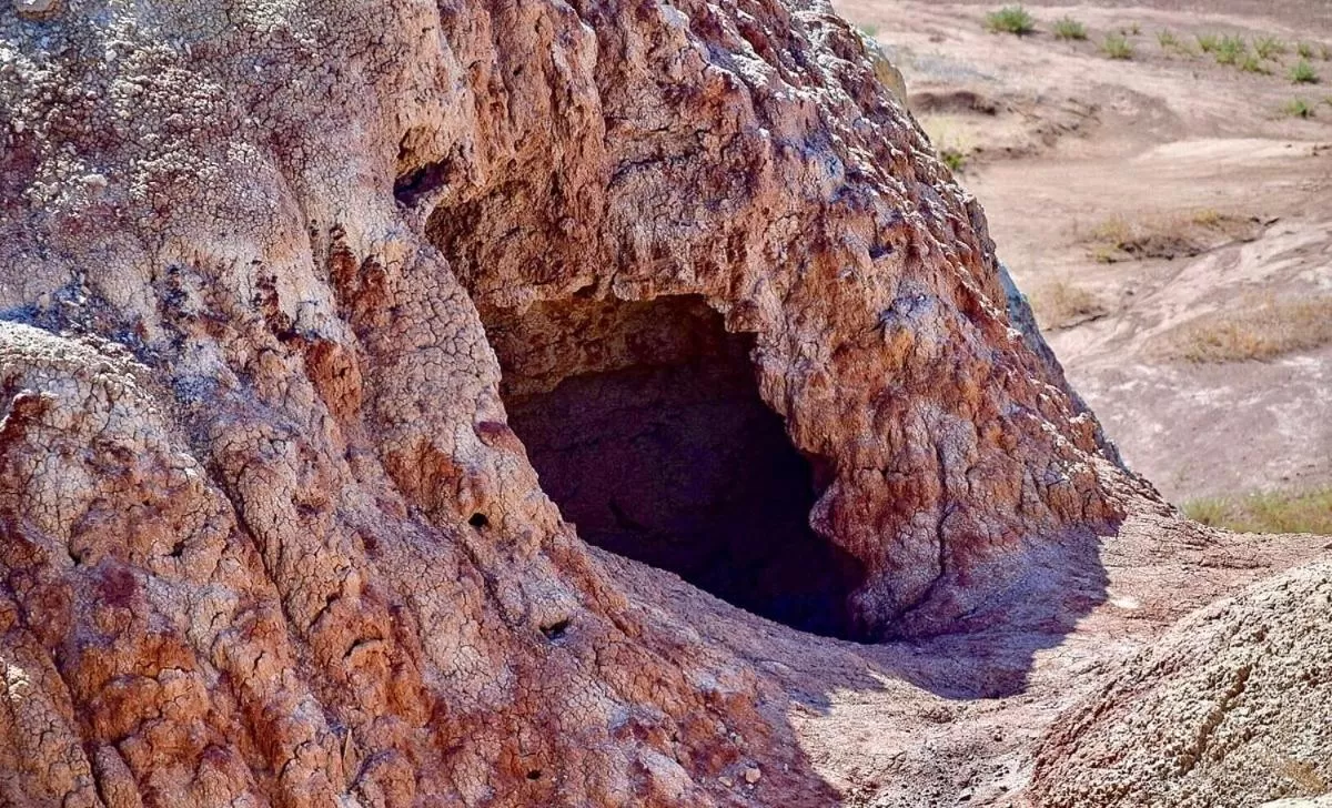 Natural Landscape in Yellowstone Motel