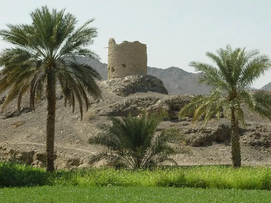 Area and facilities in Jibreen Hotel