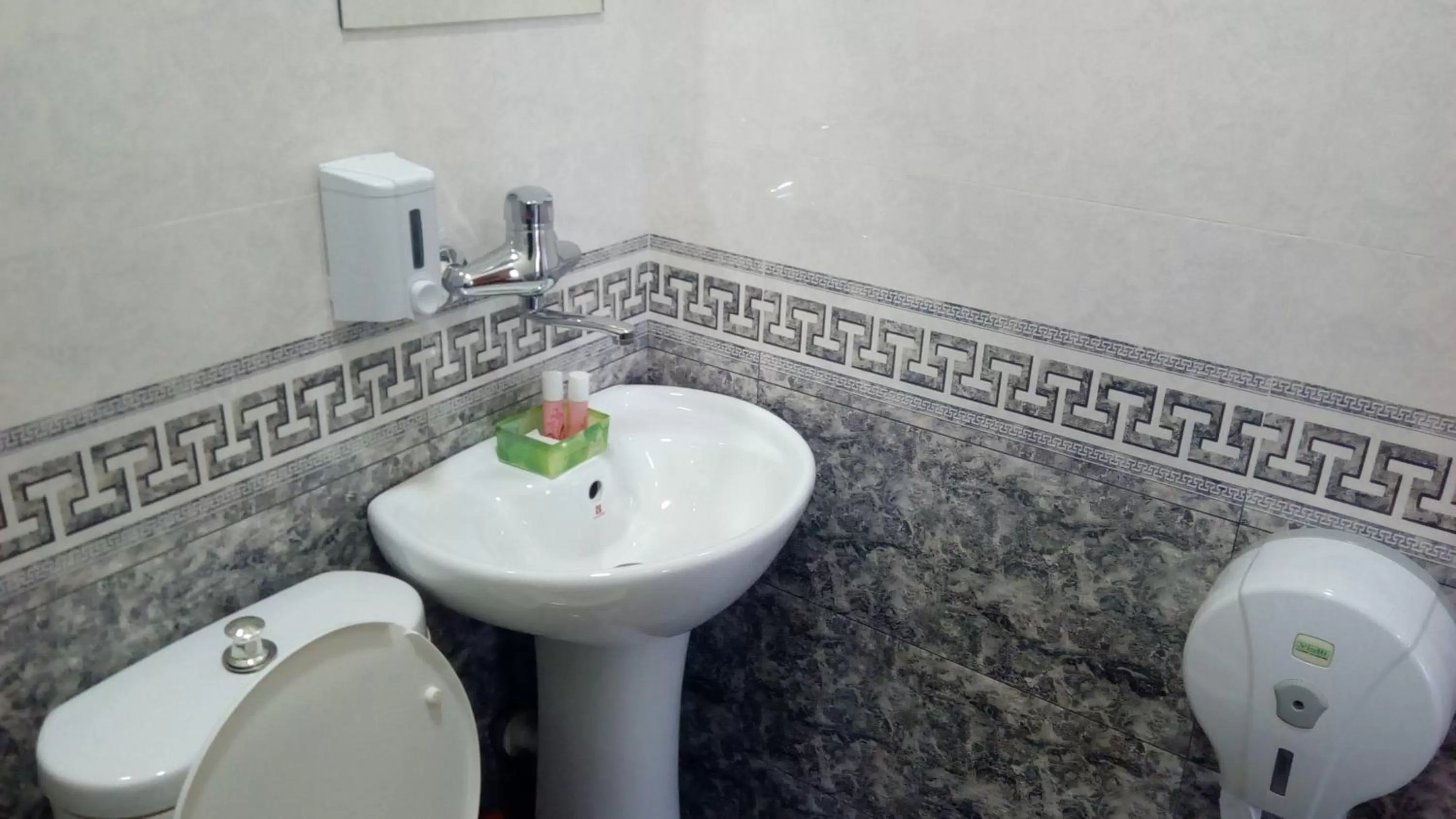 Shower in Hotel Isani