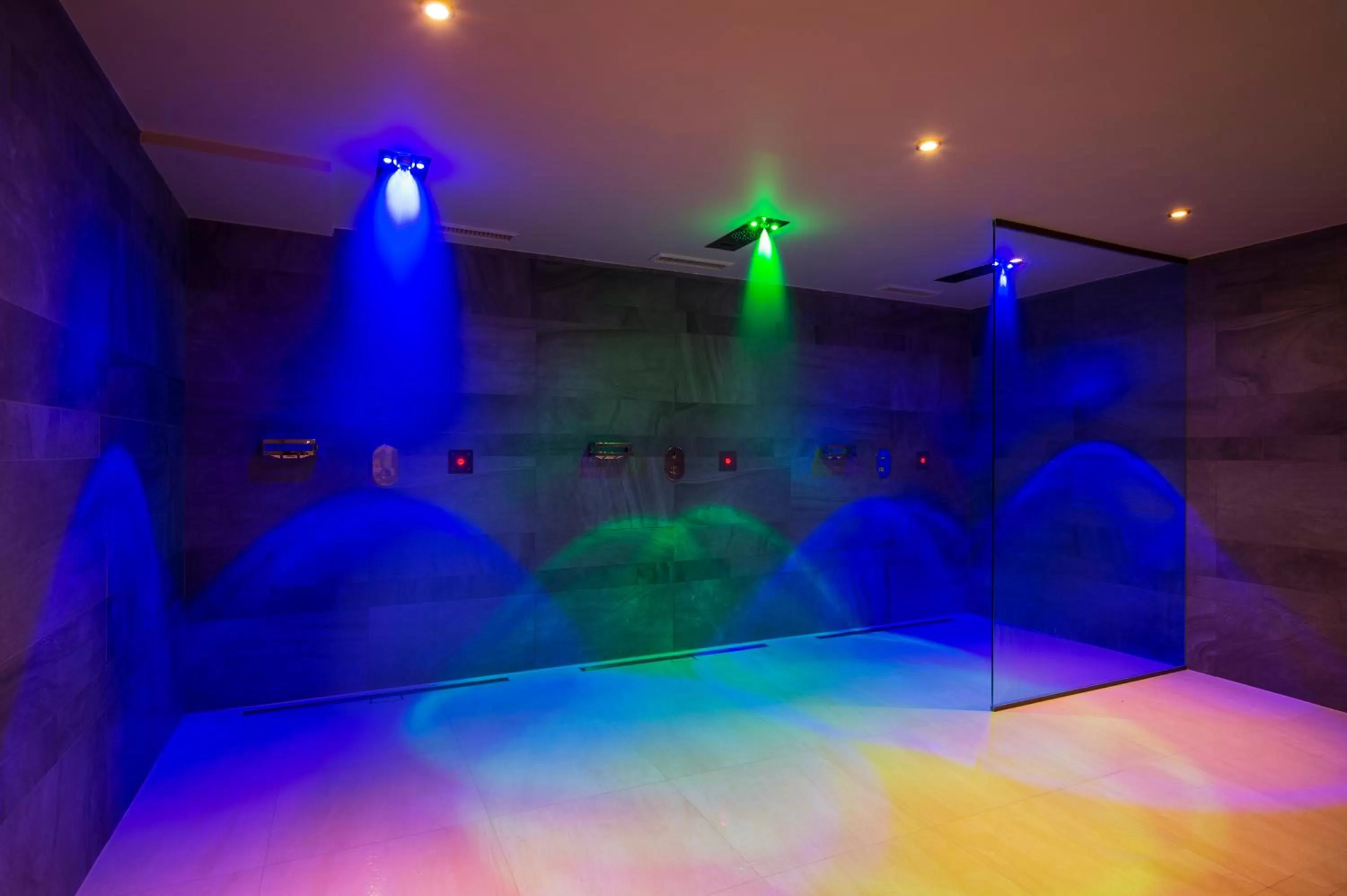 Spa and wellness centre/facilities in Parkhotel Hall in Tirol