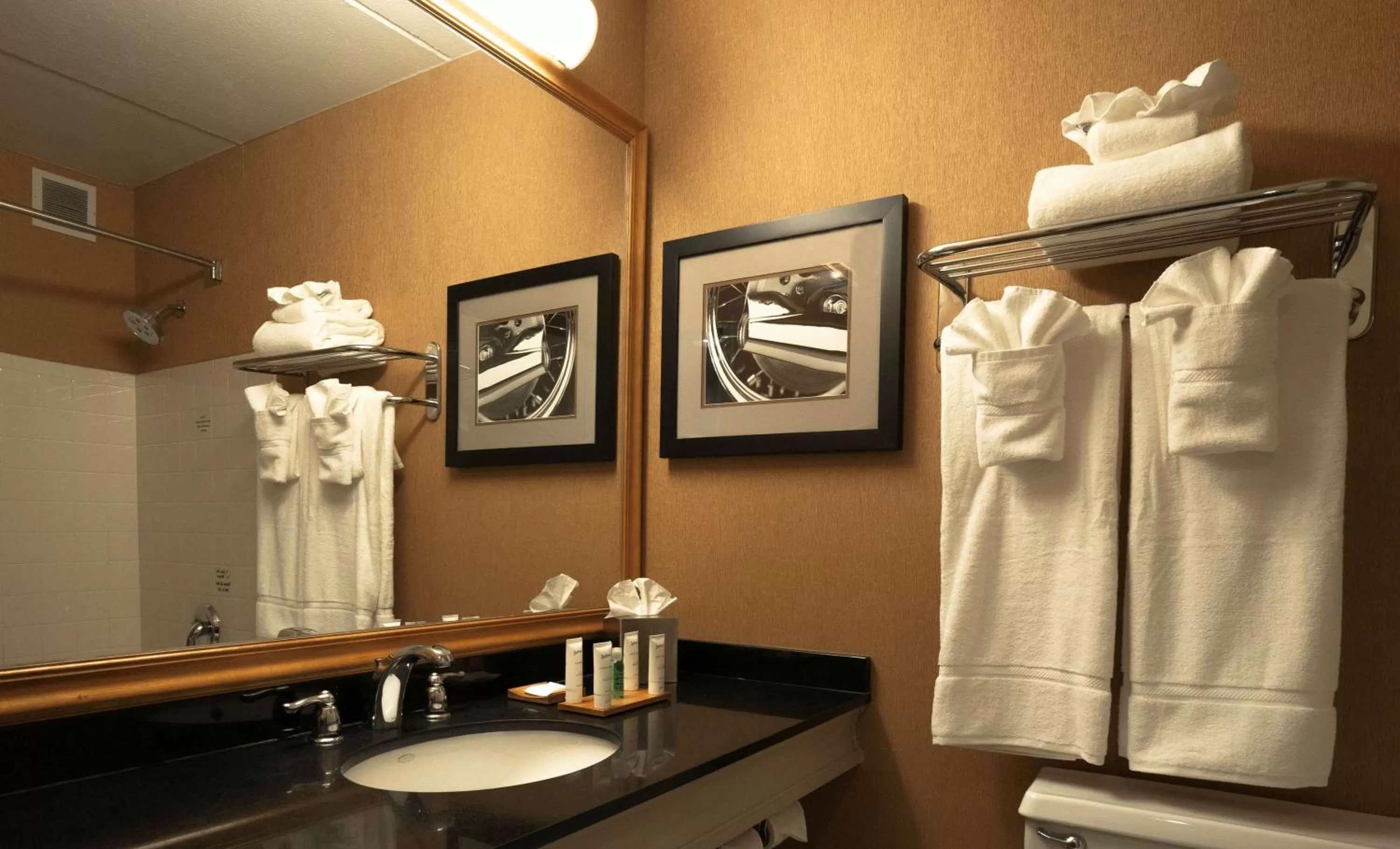 Bathroom in Radisson Hotel Milwaukee West