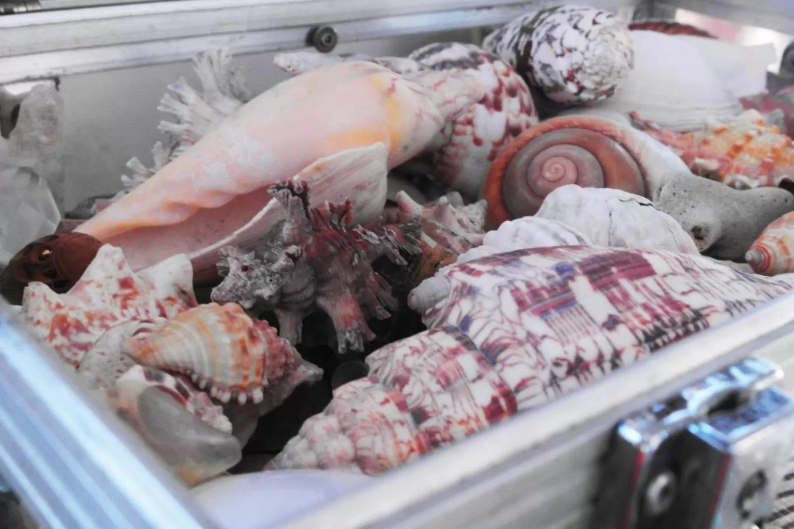 Decorative detail in Maruja