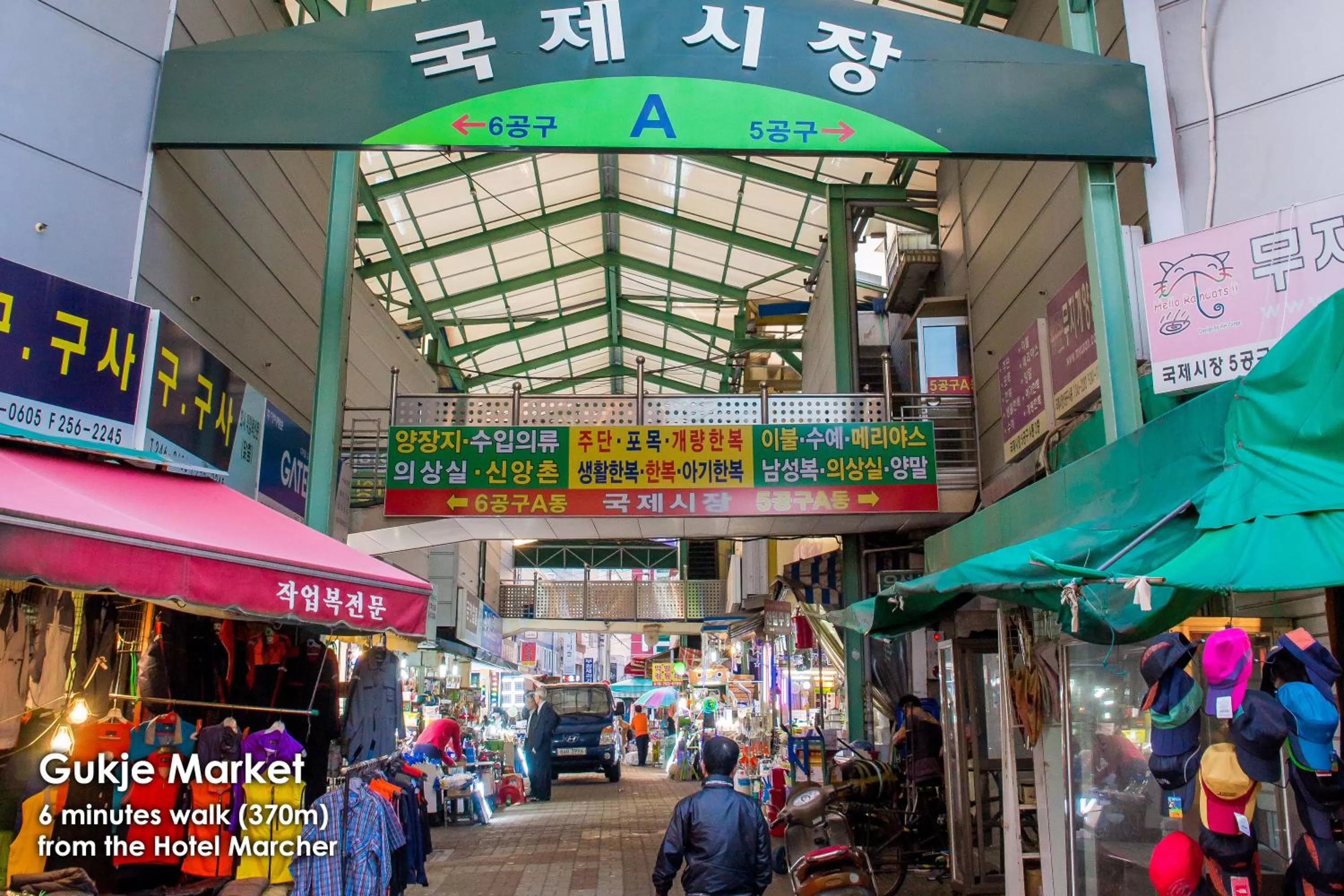 Animals in Hotel Marcher