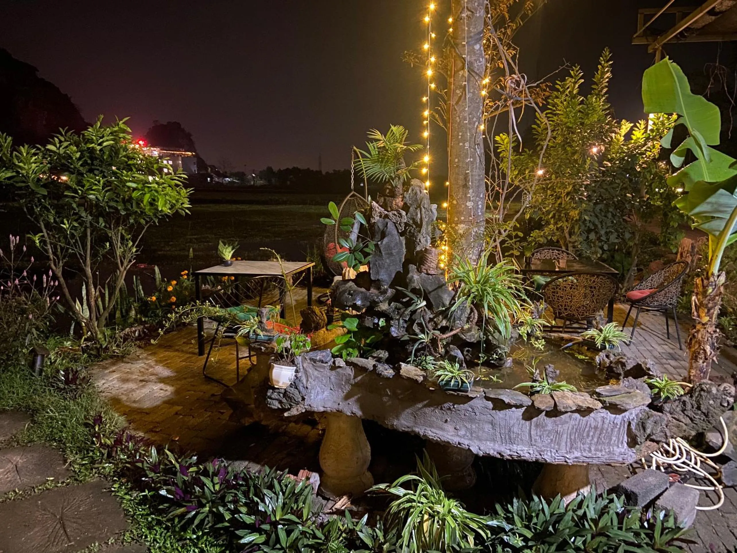 Tam Coc Mountain View Homestay