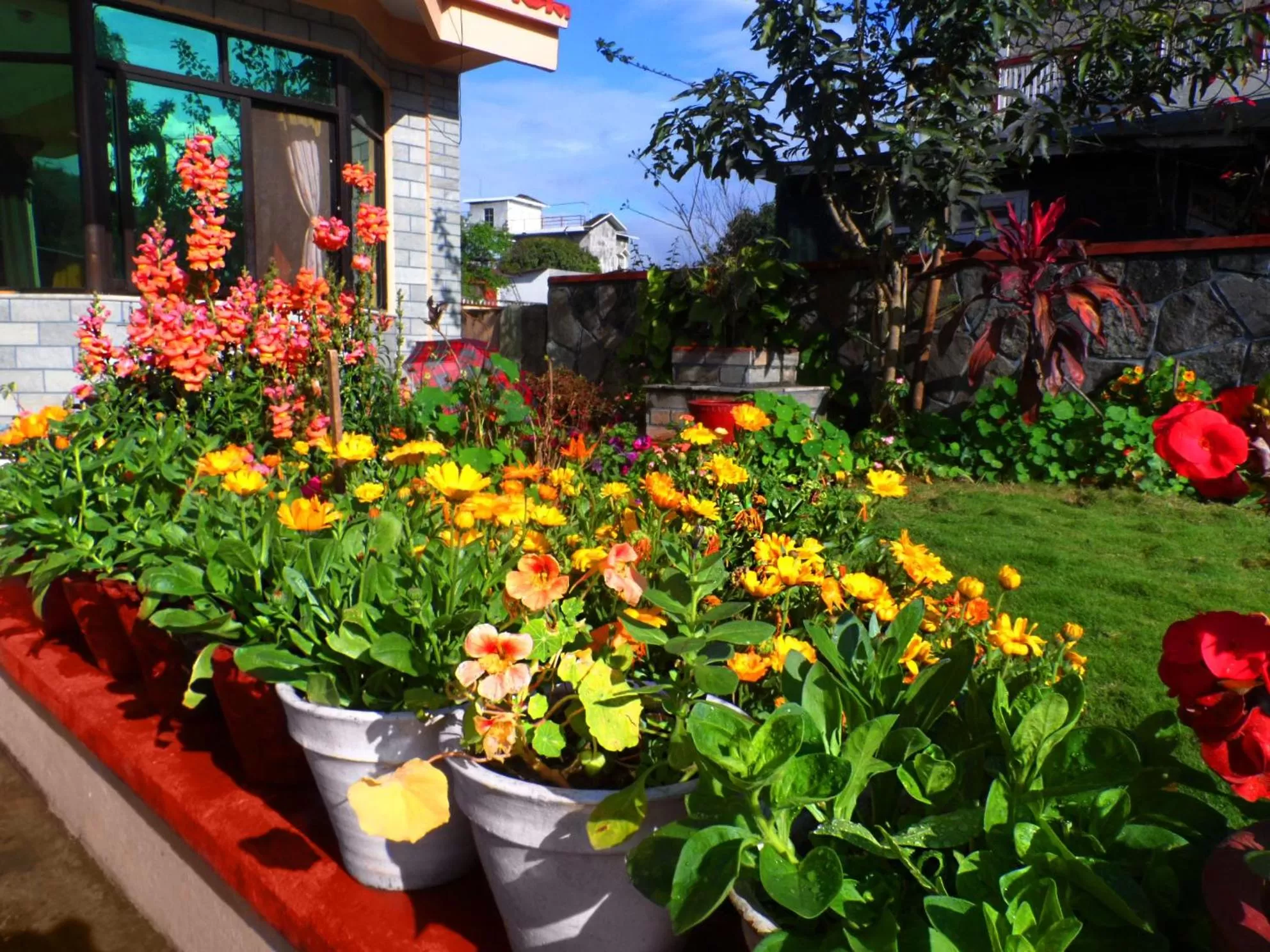 Spring in Hotel Diplomat