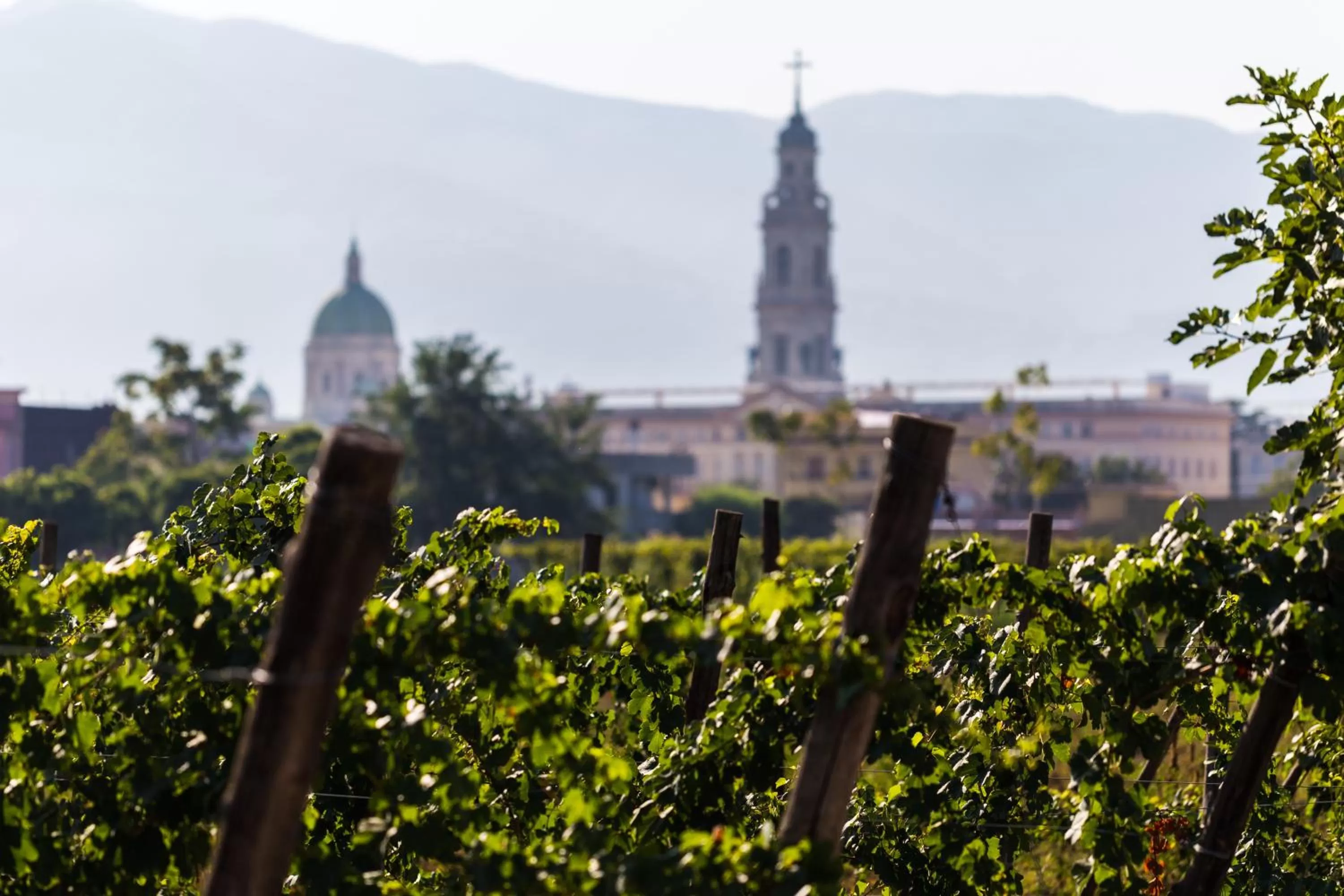 Activities in Resort & Winery Bosco De Medici