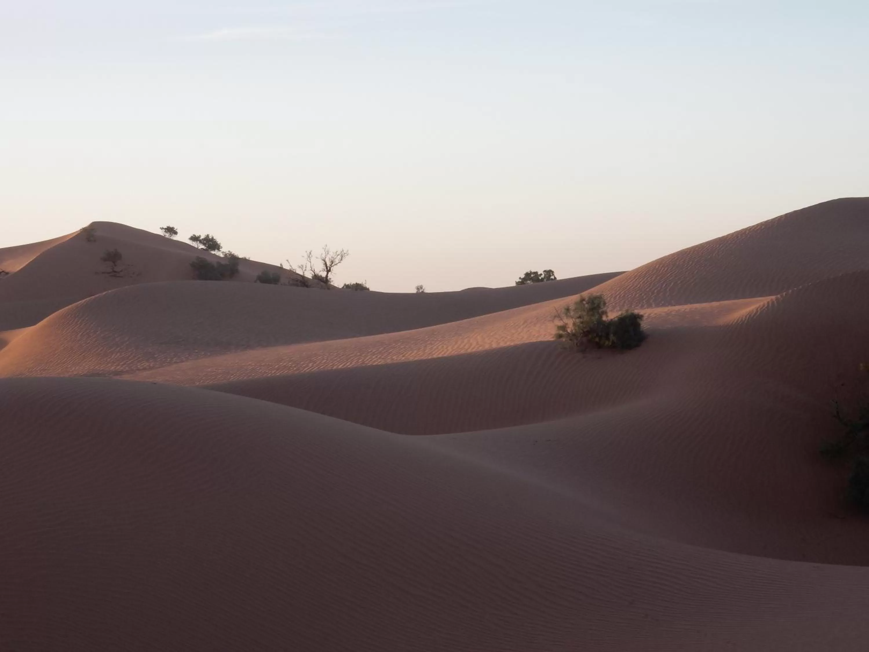 Activities in Maison d'hôtes Dar El Nath