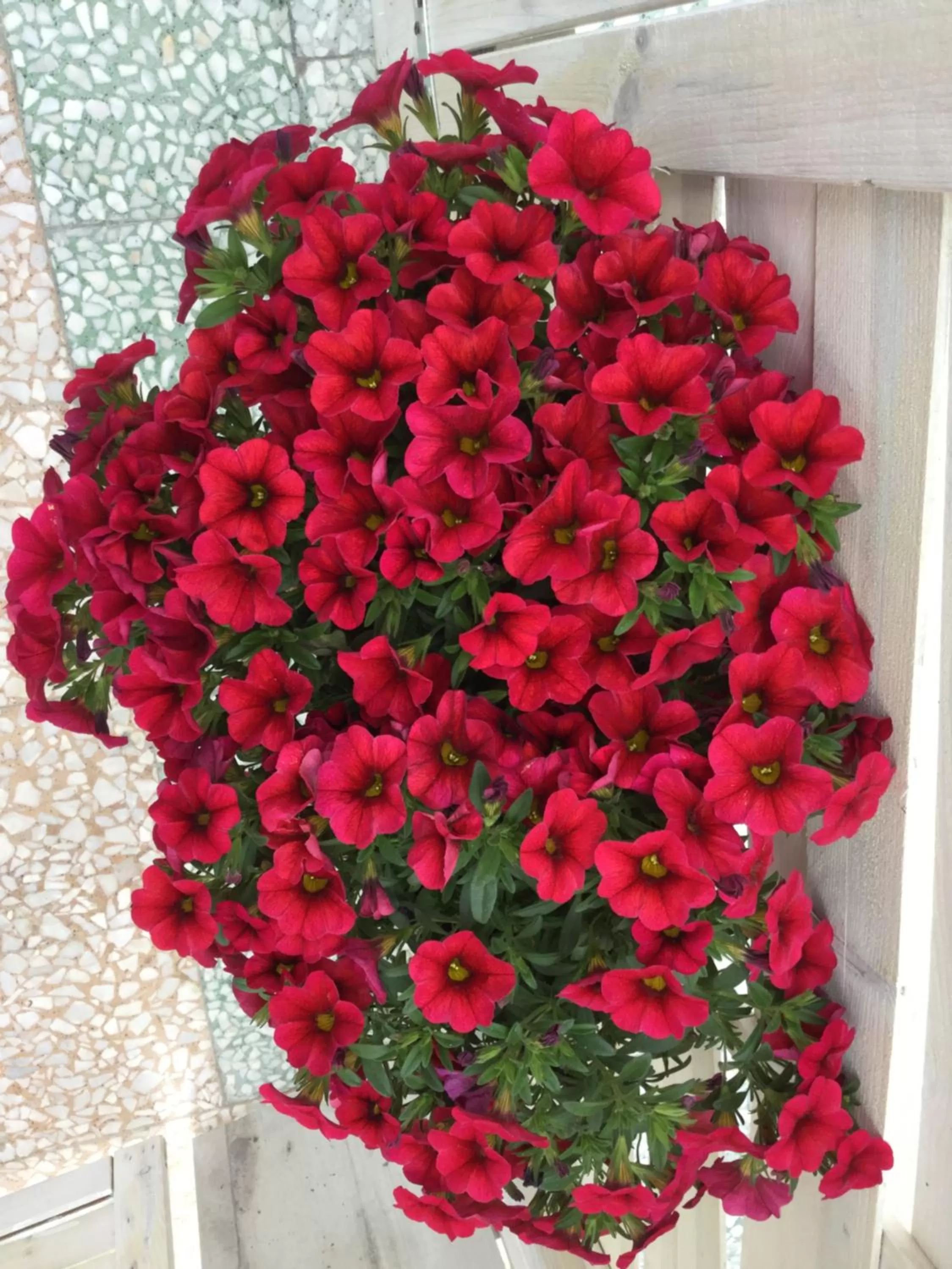 Balcony/Terrace in Casa 28