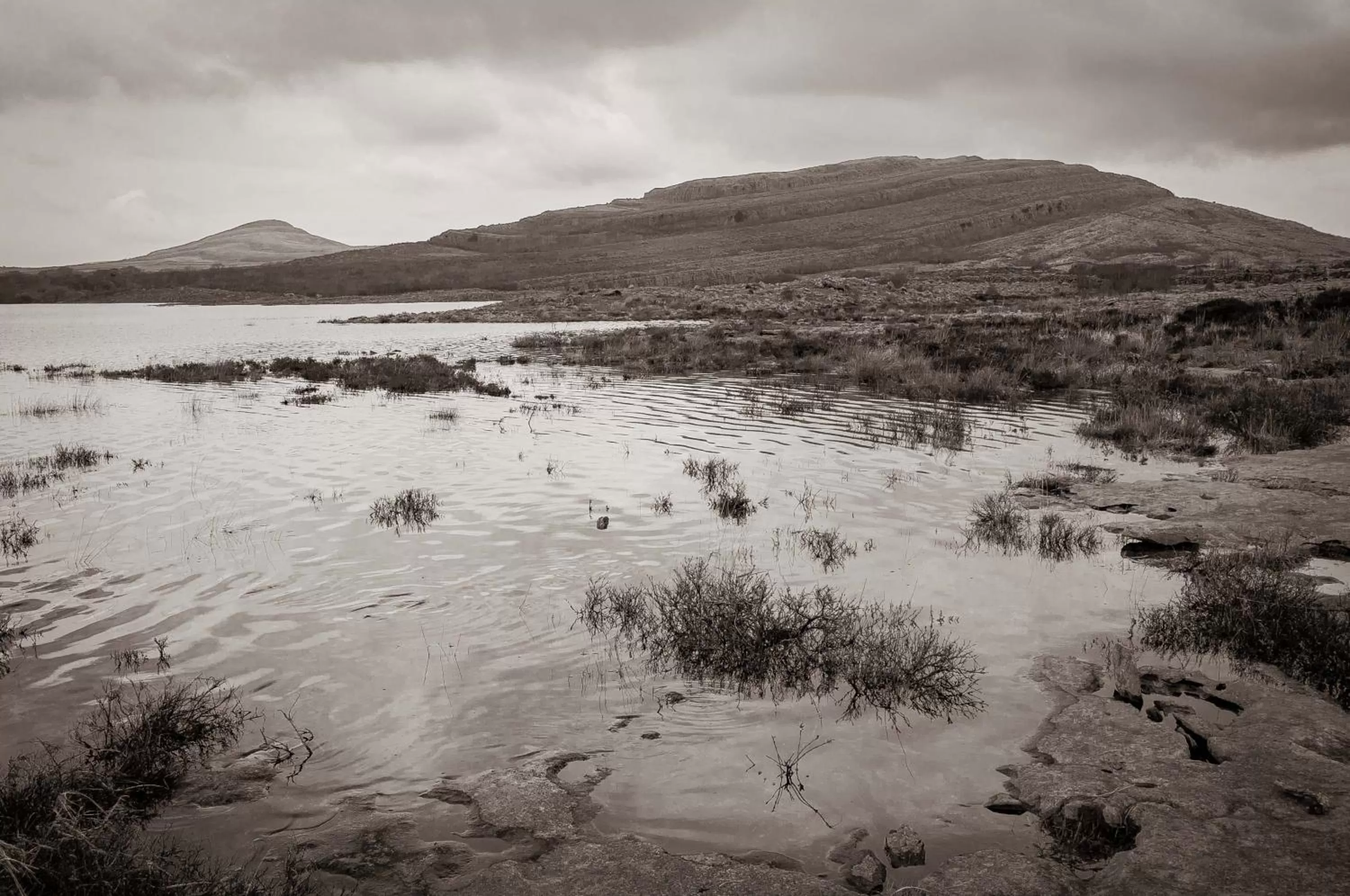 Natural landscape in Hotel Woodstock Ennis