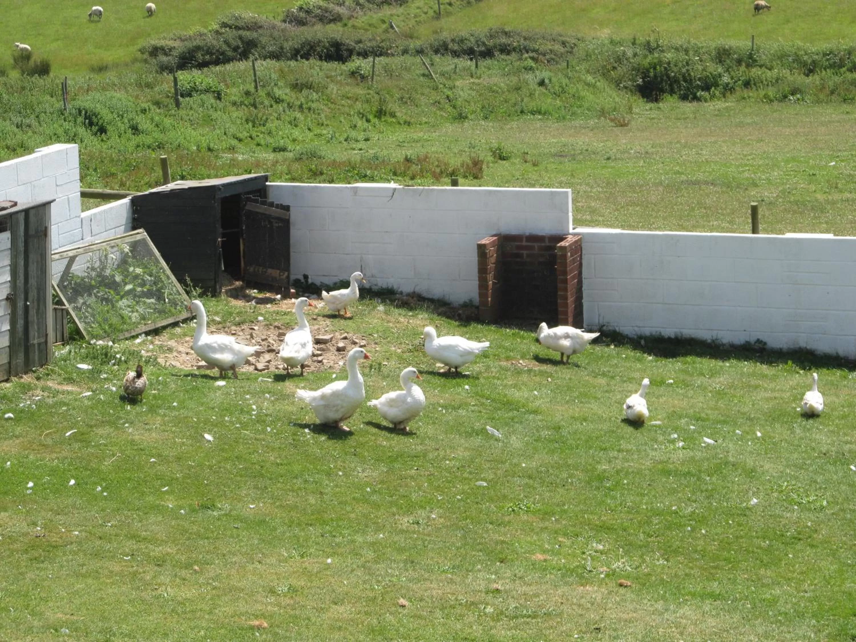 Garden in Upton Cross B&B