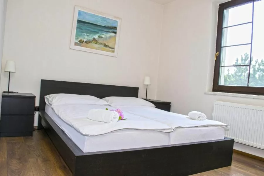 Large Double Room in Hotel Širák
