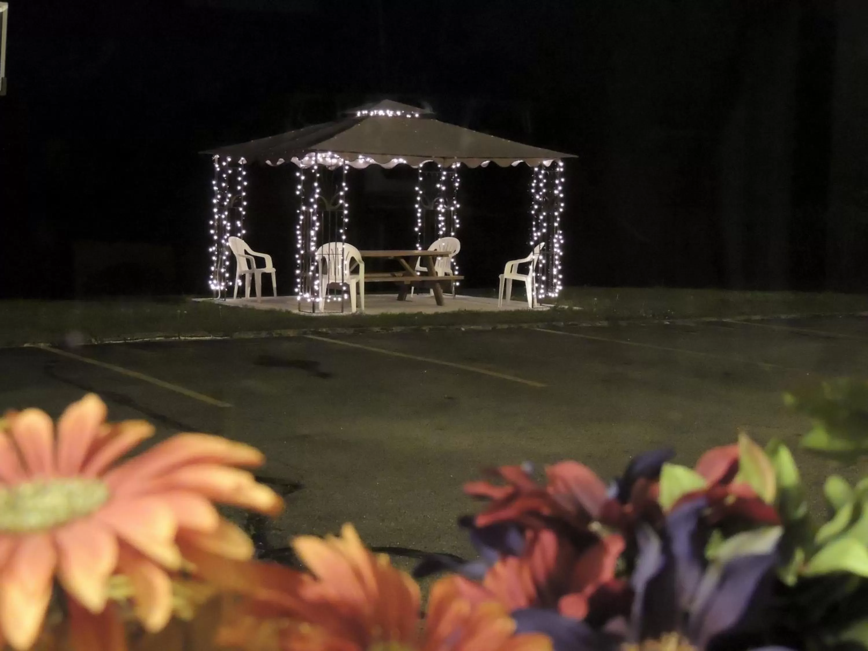 Facade/entrance in Stardust Motel