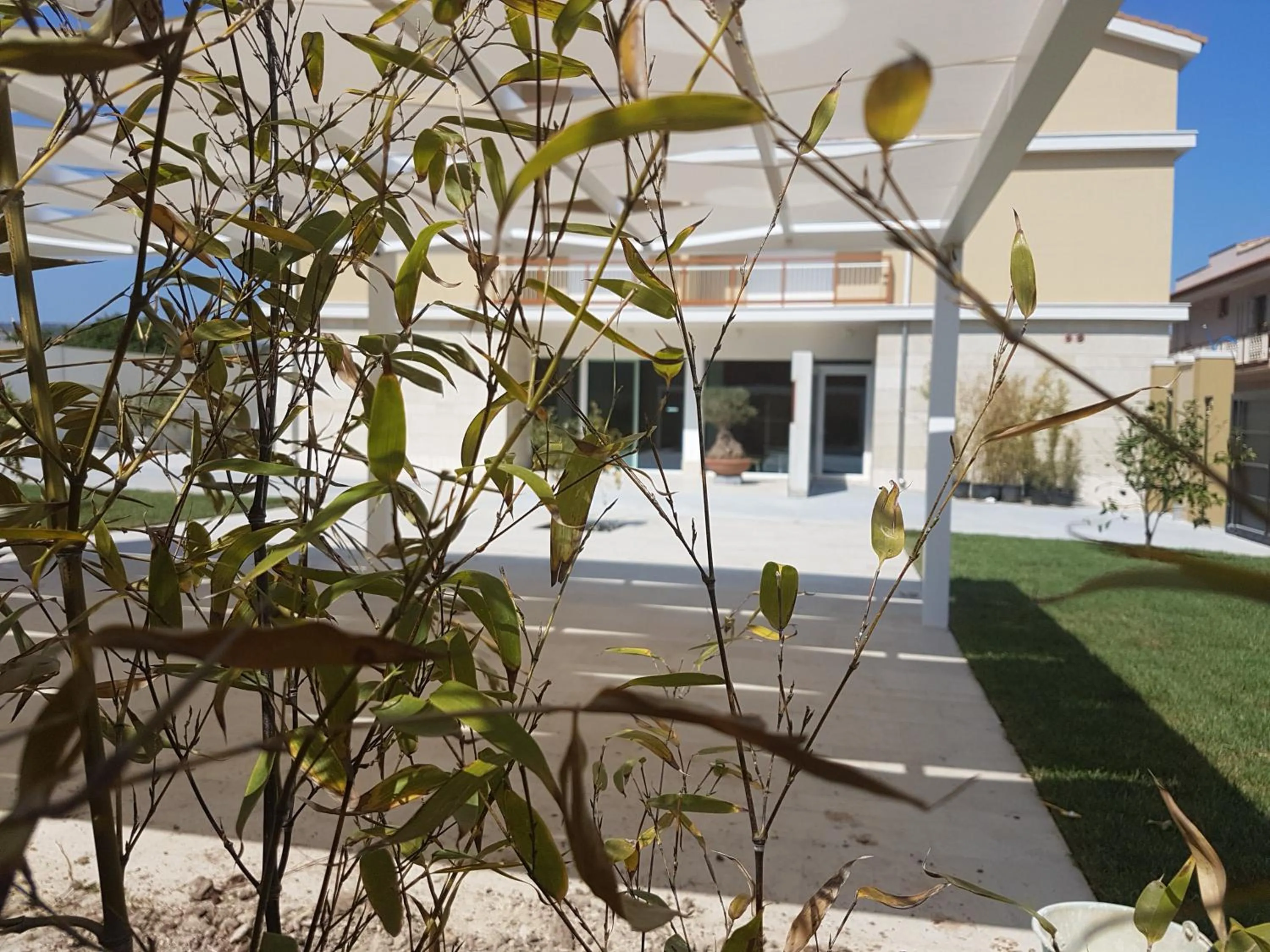 Property building in Netum Hotel