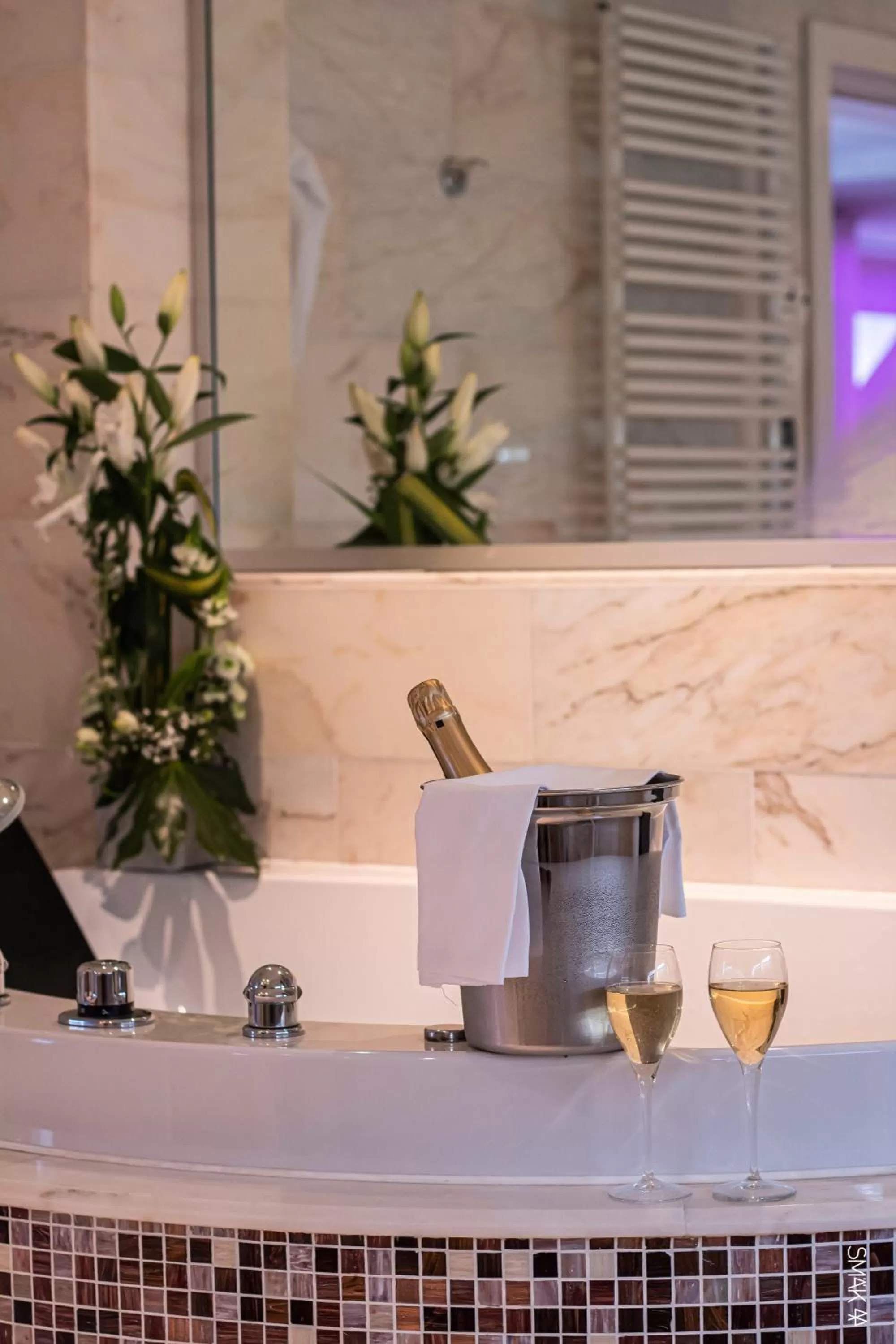 Apartment with Garden View in Hotel L'Europe Colmar, BW Signature Collection