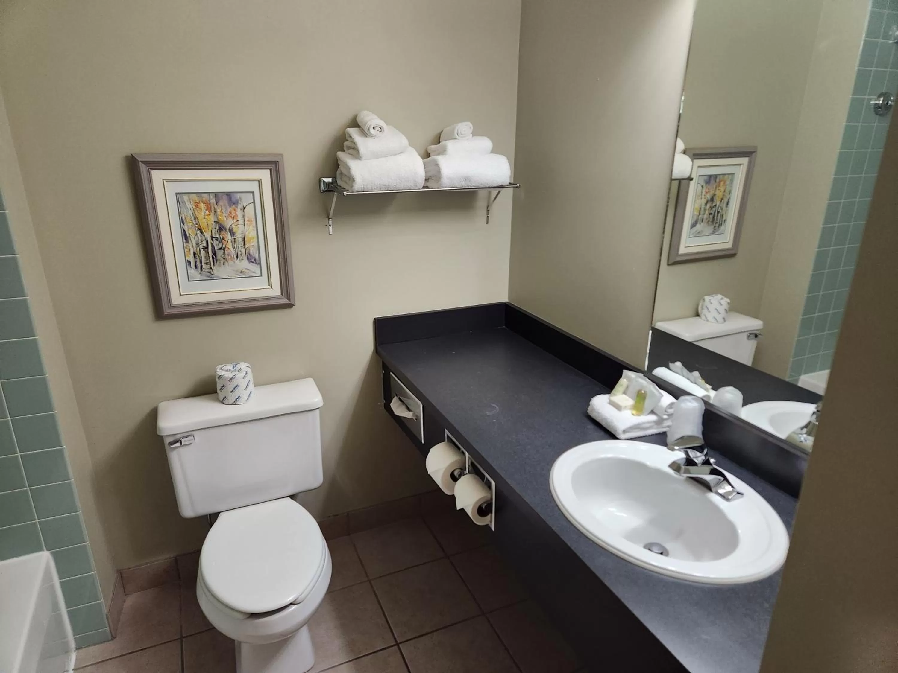 Toilet in Waterton Lakes Lodge Resort