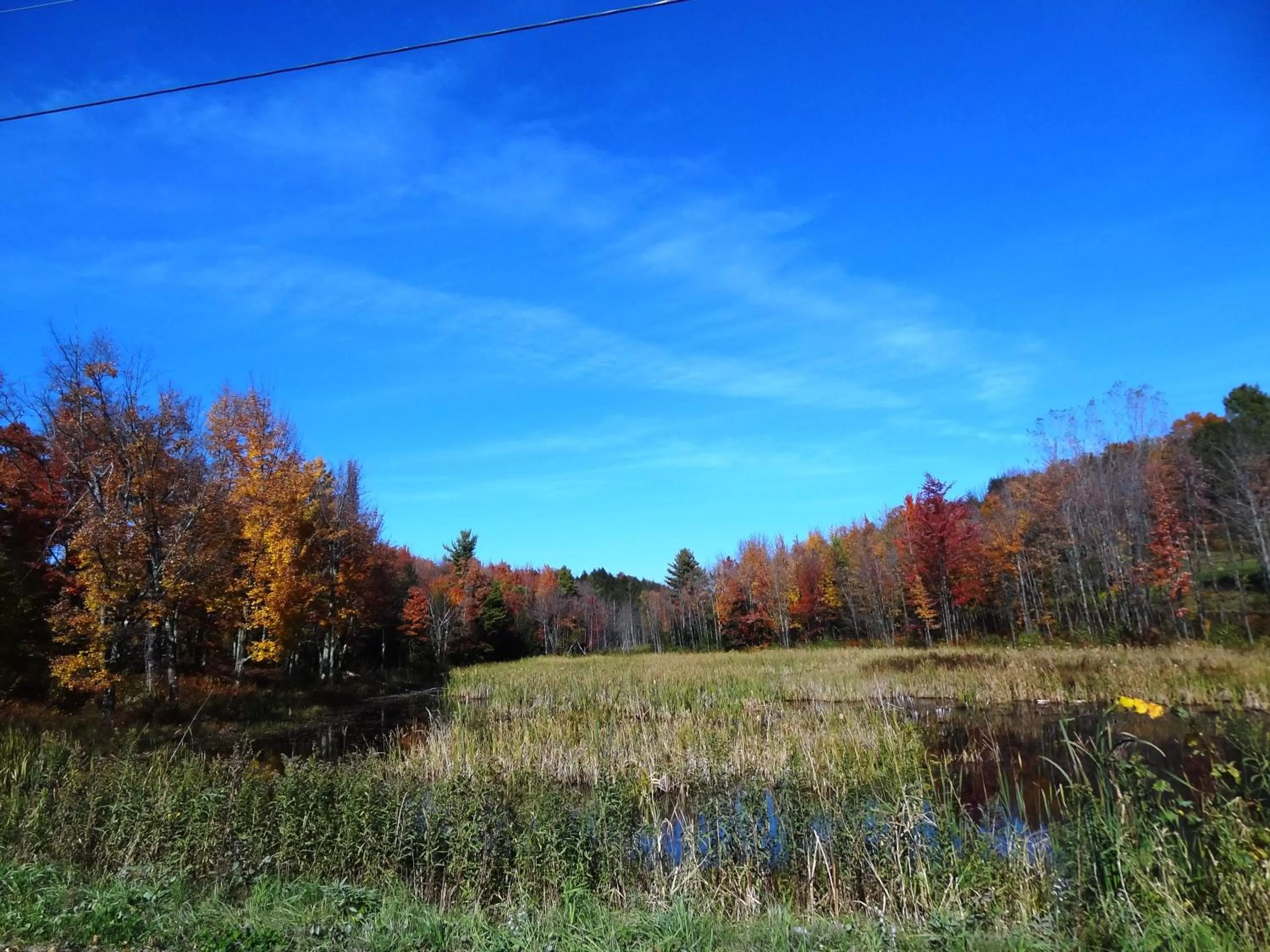 Garden in Inn at Buck Hollow Farm
