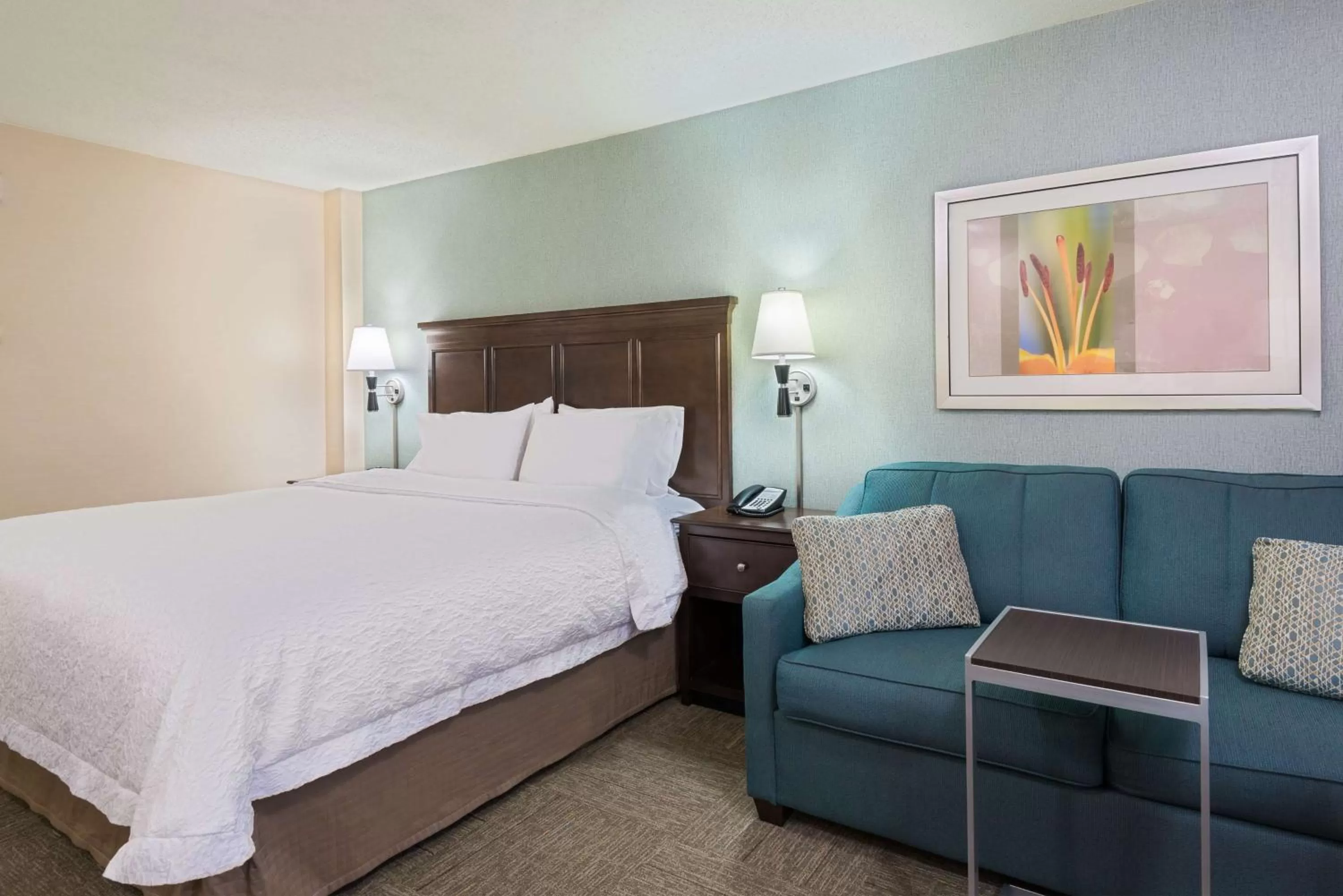 King Room with Sofa Bed in Hampton Inn White Plains/Tarrytown