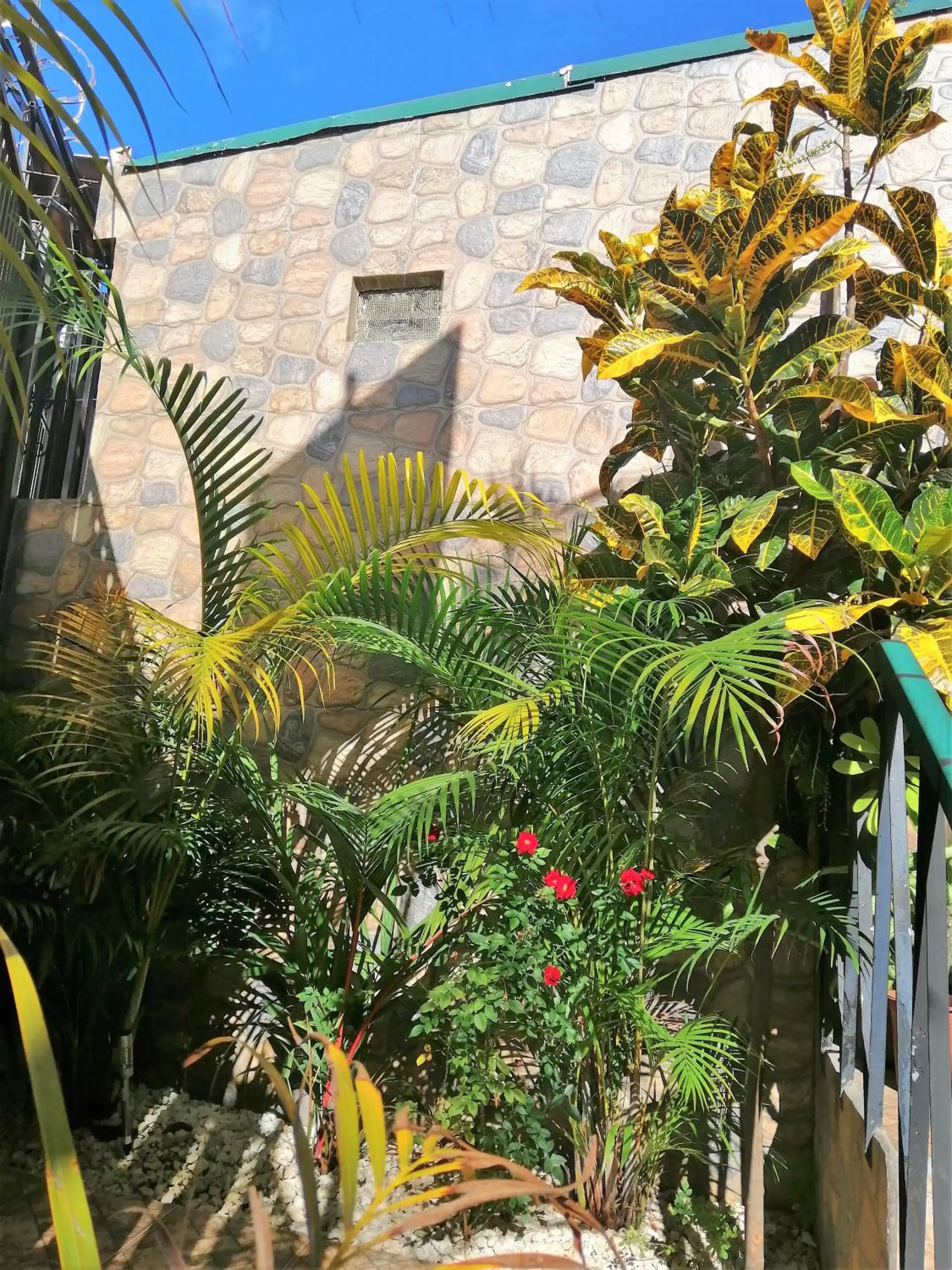 Property building in Casa Leon Guesthouse