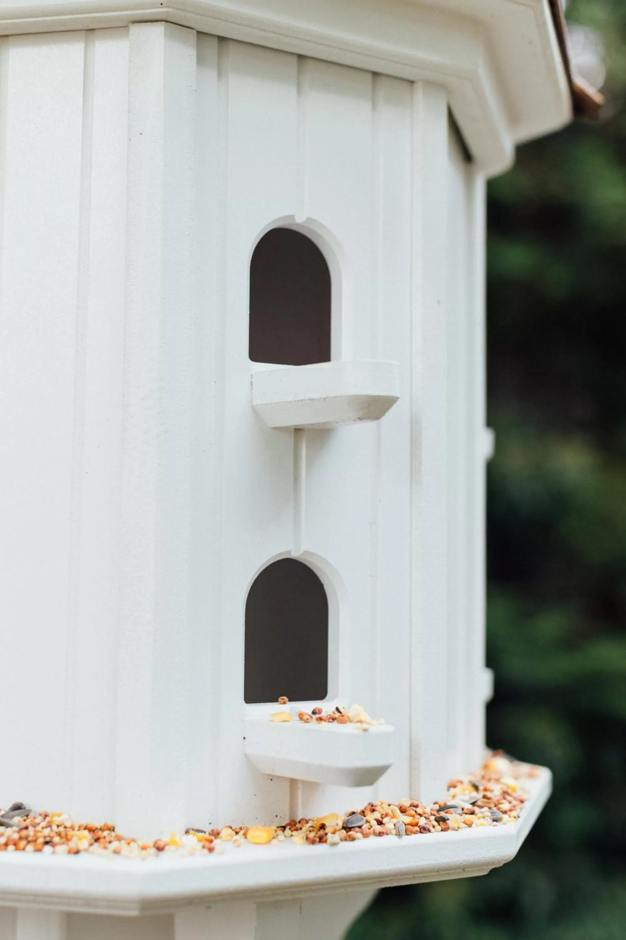 Animals in The Charleston Inn