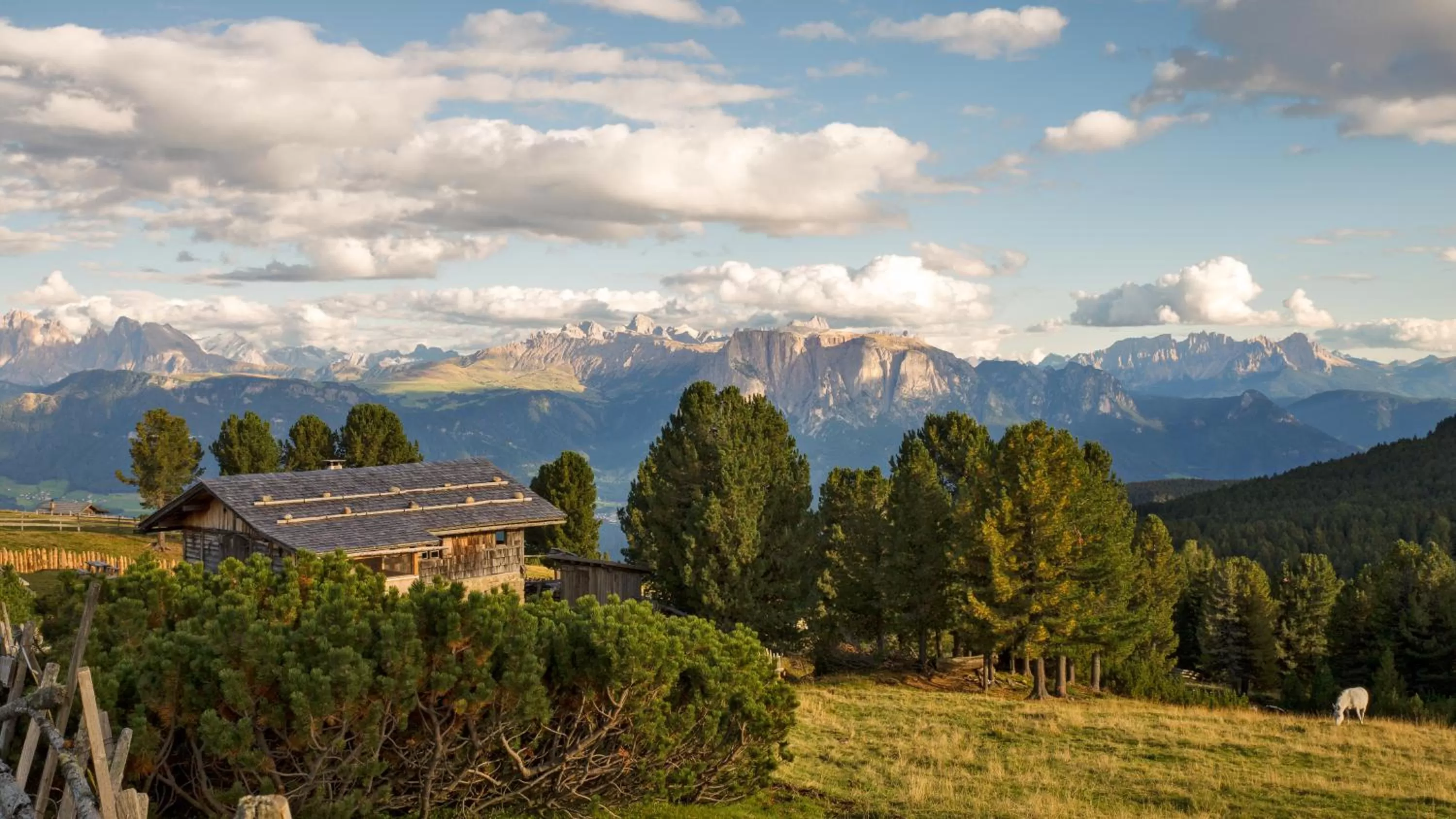Summer in Rösslwirt