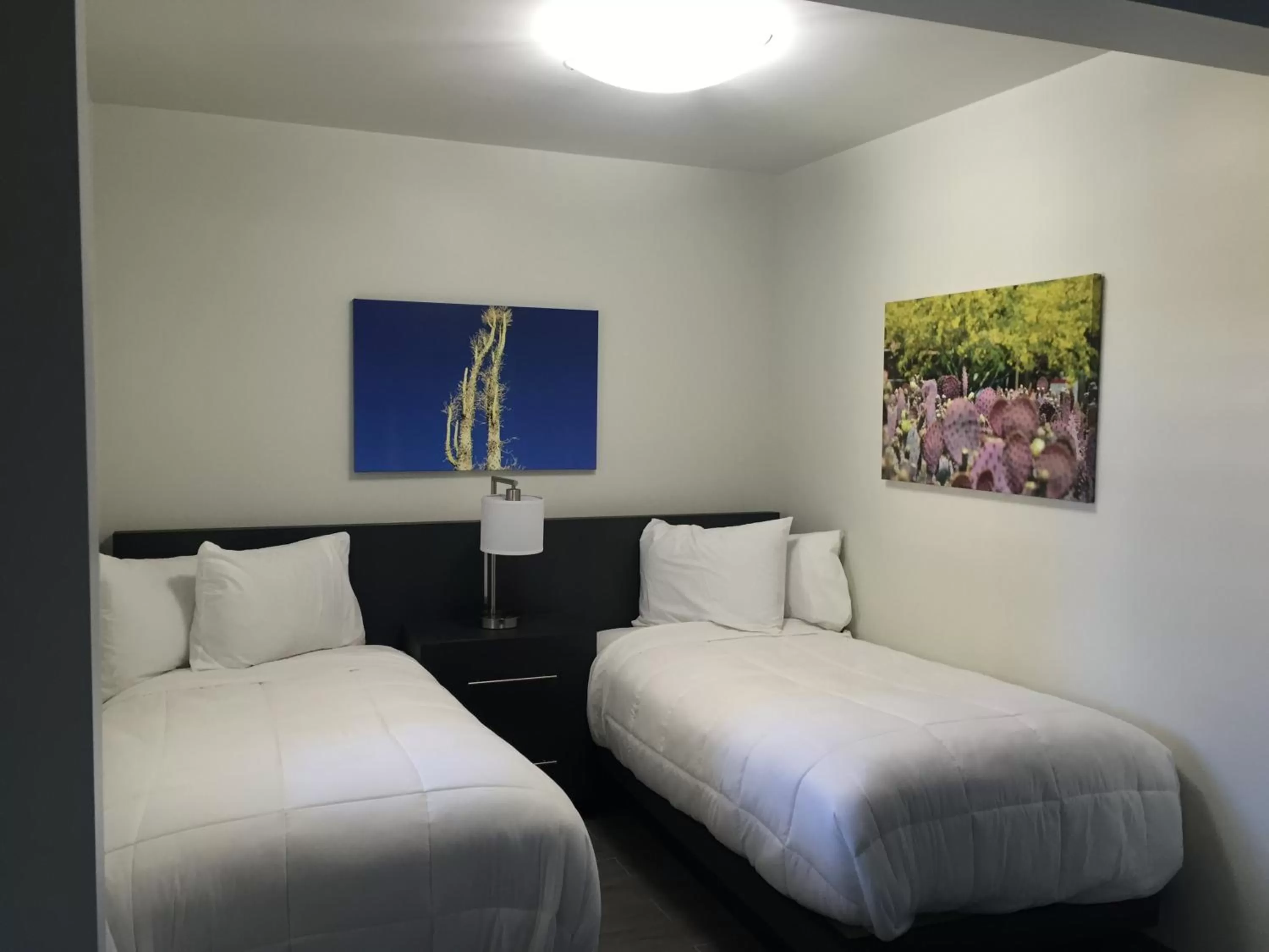 Bedroom, Bed in University Inn ASU/Tempe