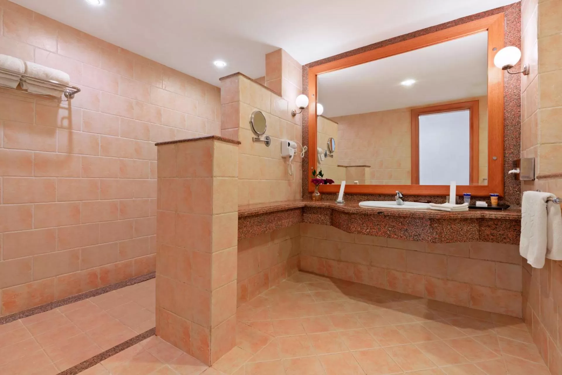 Bathroom in Pickalbatros Dana Beach Resort - Aqua Park