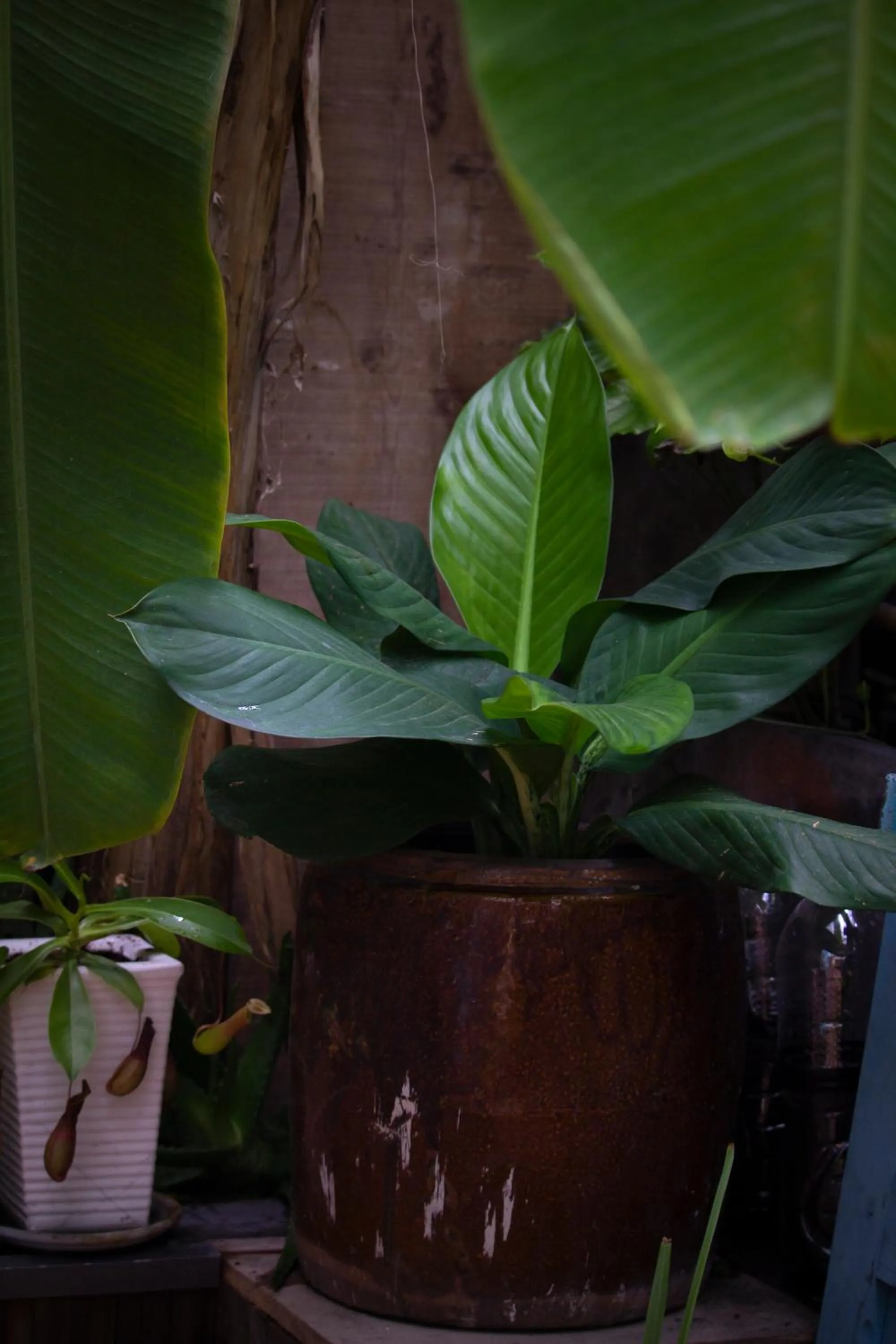 Patio in Coucou Homestead I - Homestay & Dorm District 1