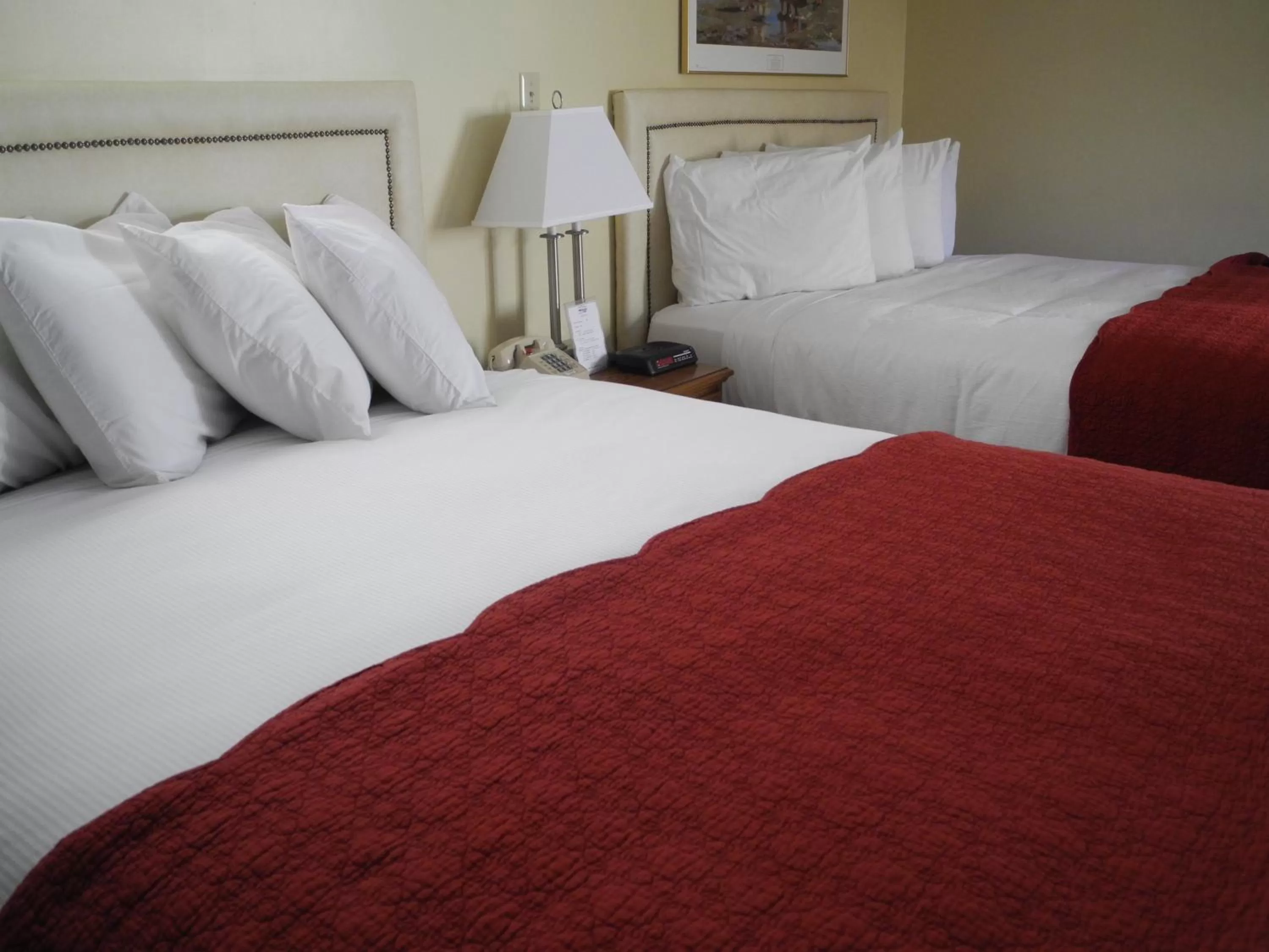 Bed in Wilson Lake Inn