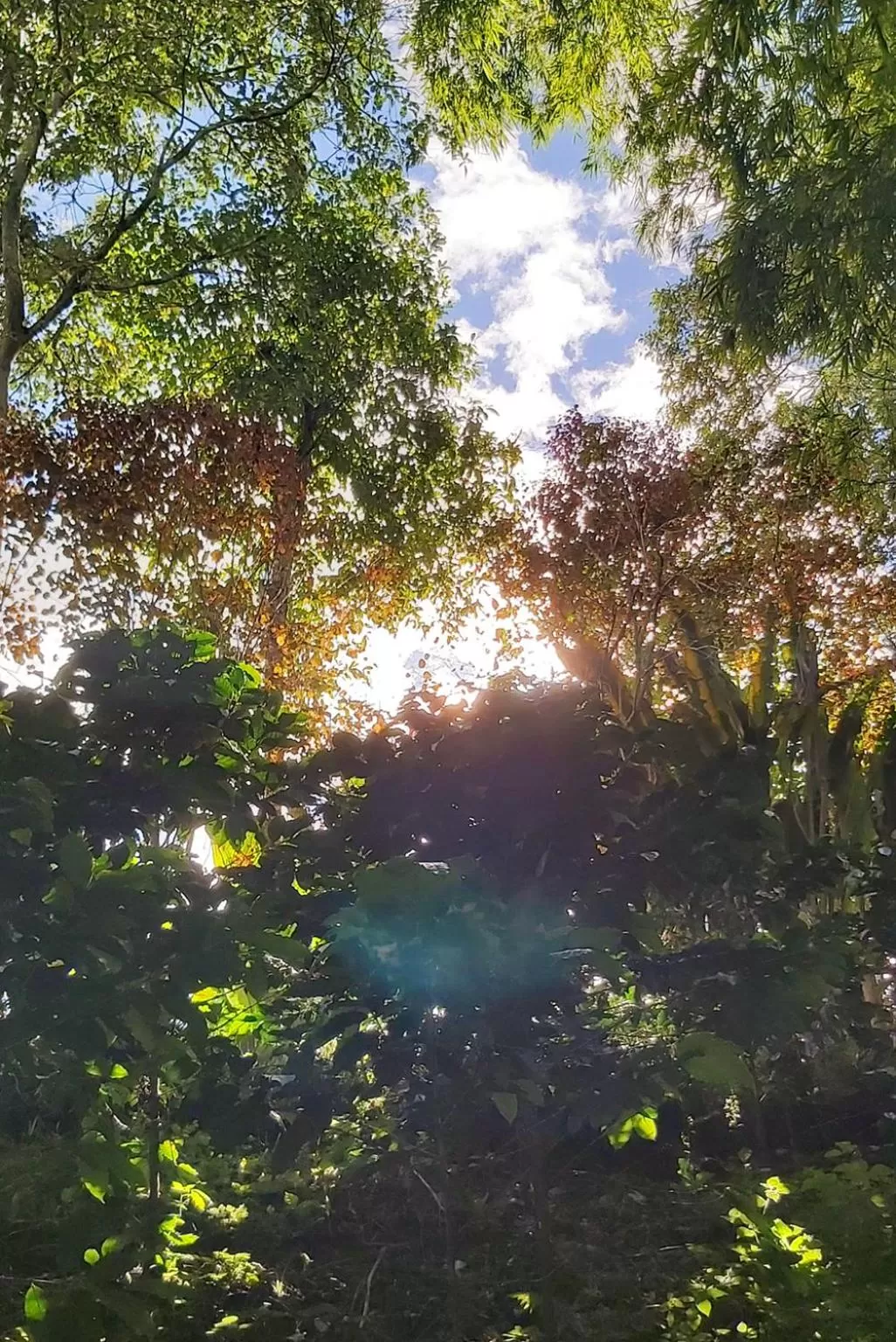 Hiking in Balsora Hotel Boutique