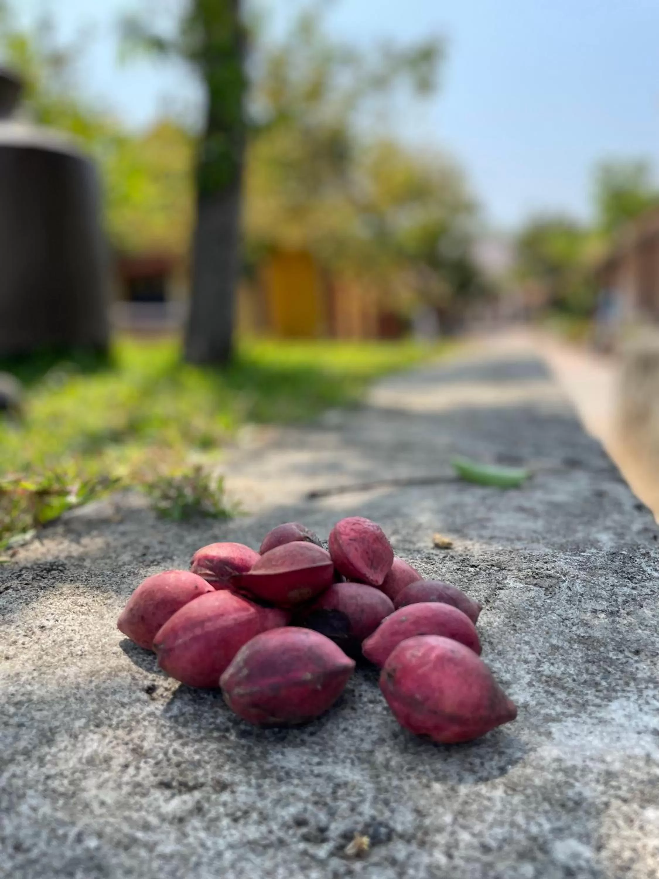 Marutham Village Resort