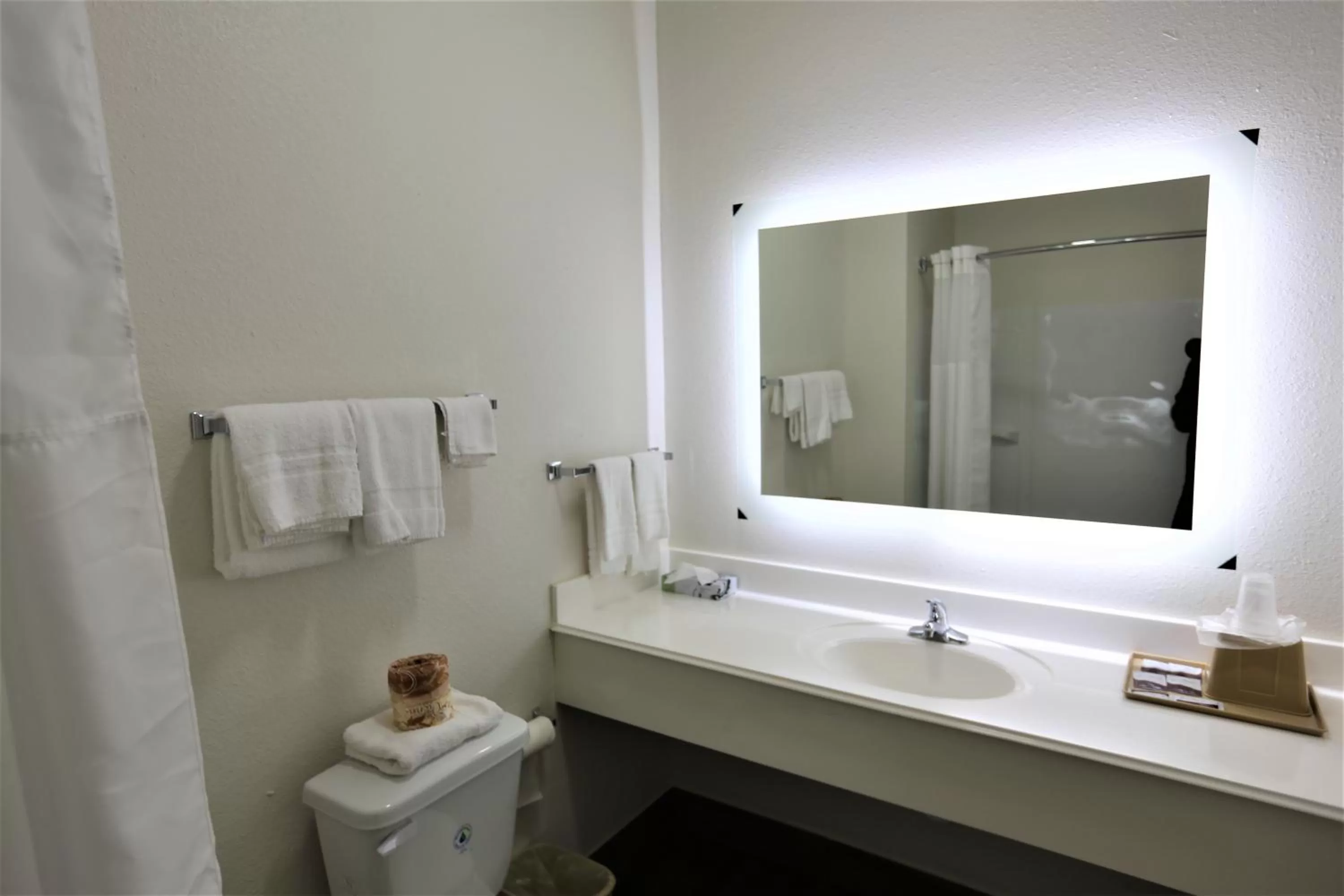 Bathroom in Hotel O Executive Inn & Suites Cuero Hwy 87