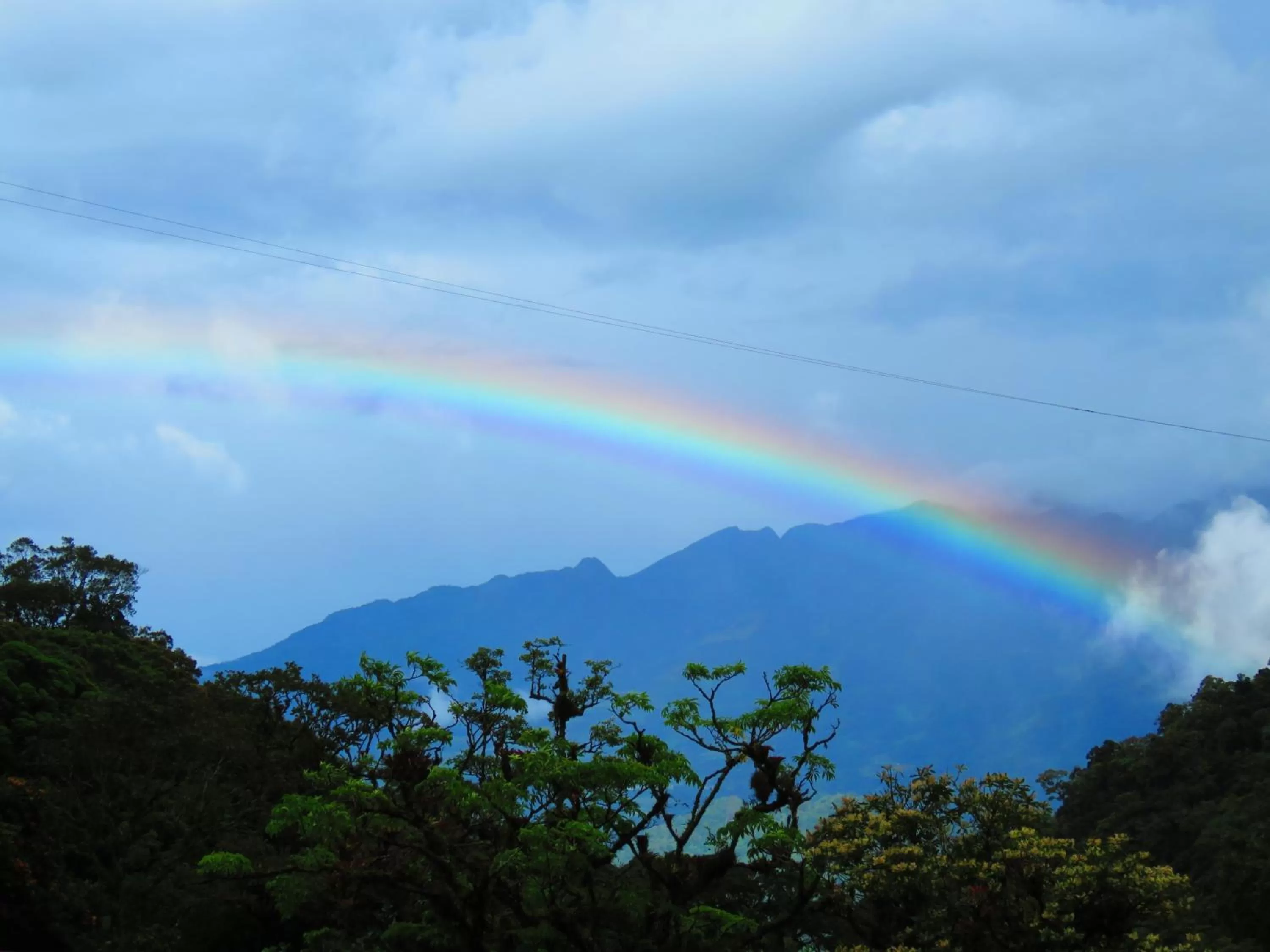 Mountain view in TREE TREK BOQUETE Adventure Park