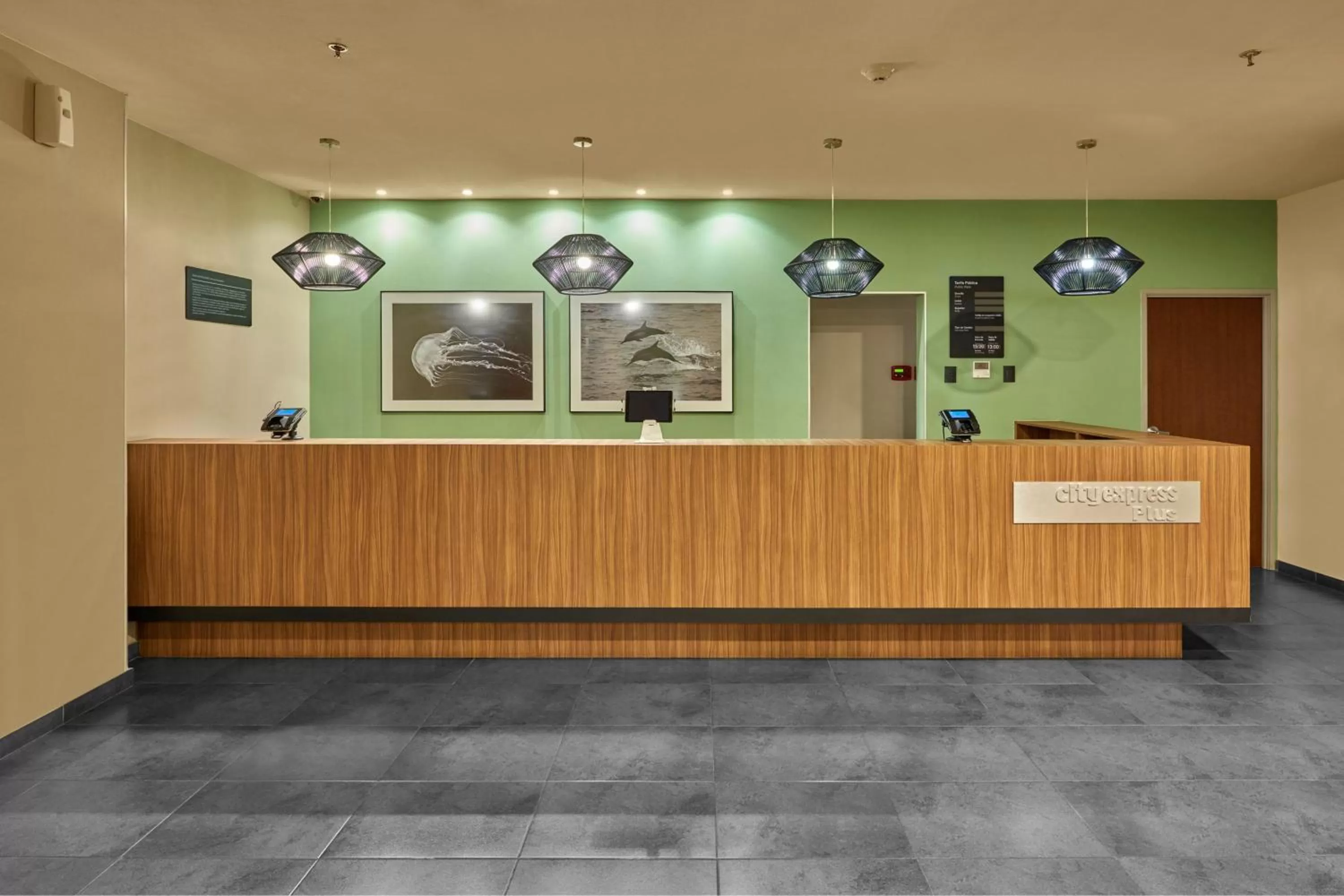 Lobby or reception in City Express Plus by Marriott Cabo San Lucas