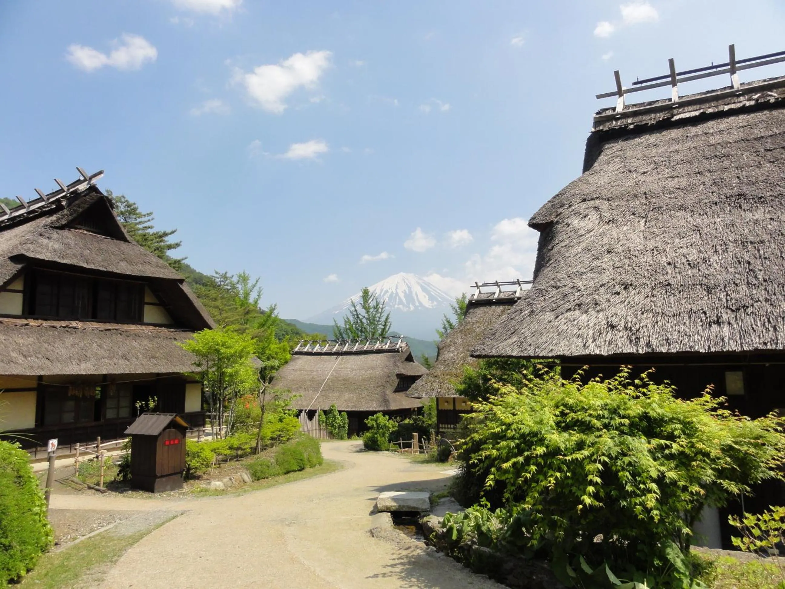Entertainment in HOTEL MYSTAYS Fuji Onsen Resort