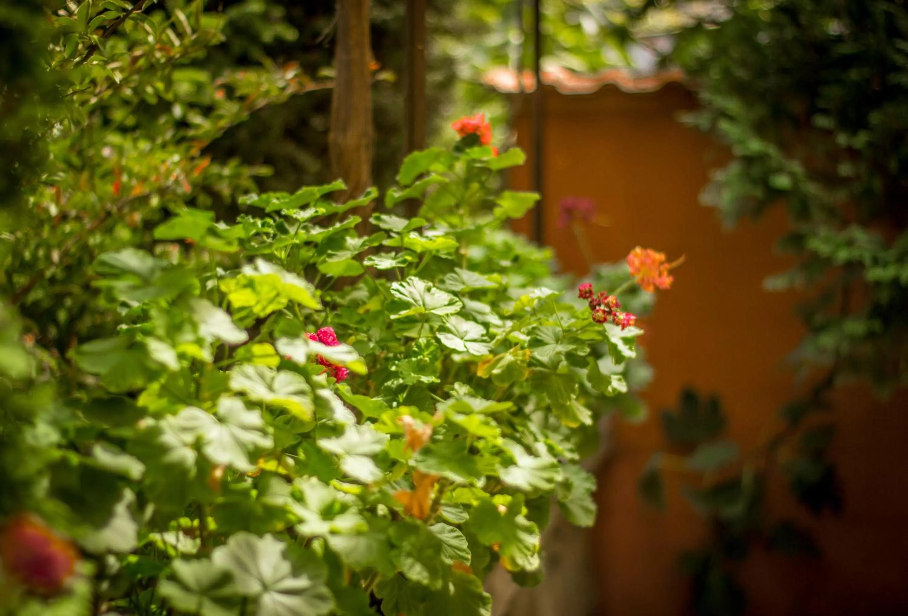 Property building in Family Hotel Saint Iliya