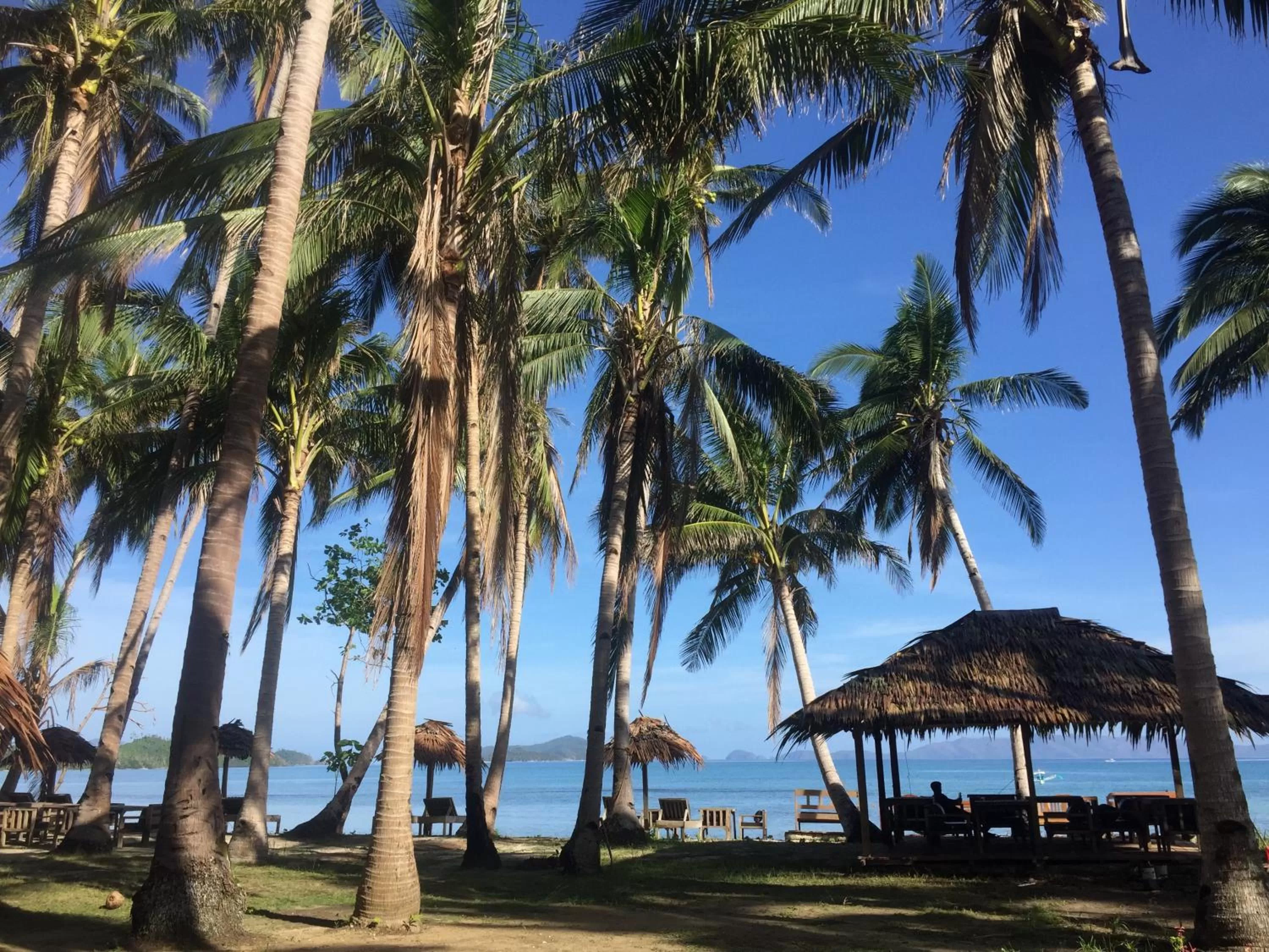 Prince John Beachfront Eco Bungalows and Restaurant