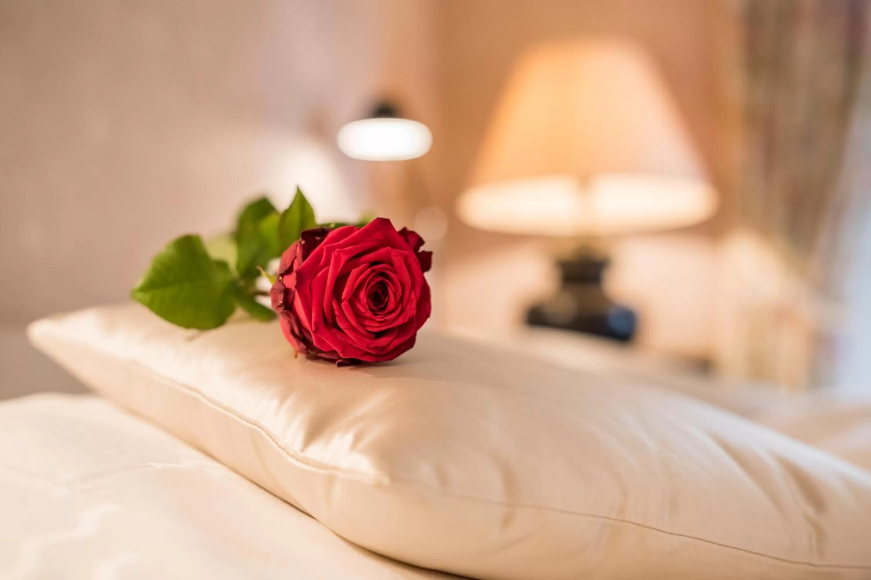 Bedroom, Bed in Kurhotel Im Park