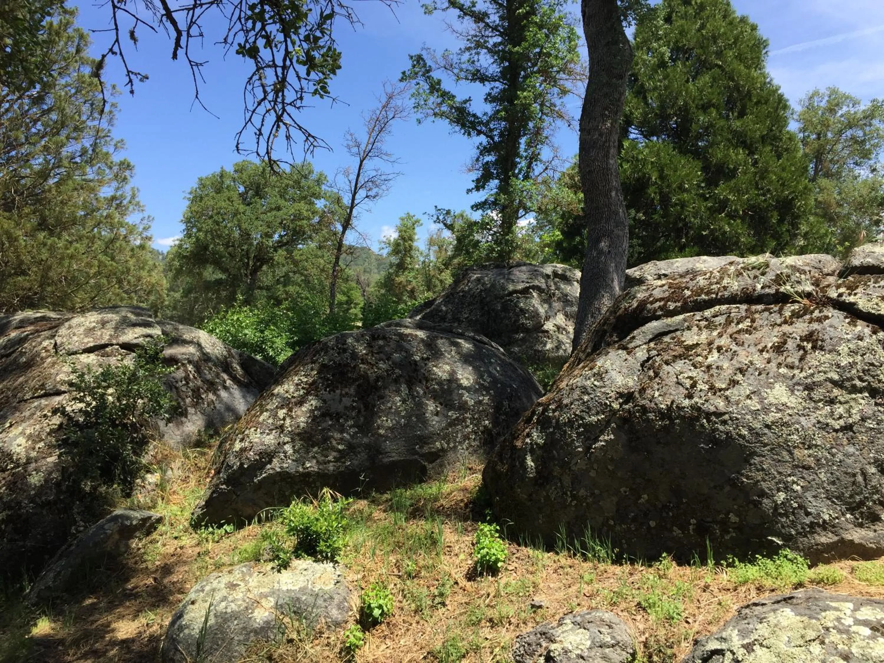 Day in Mountain Trail Lodge and Vacation Rentals