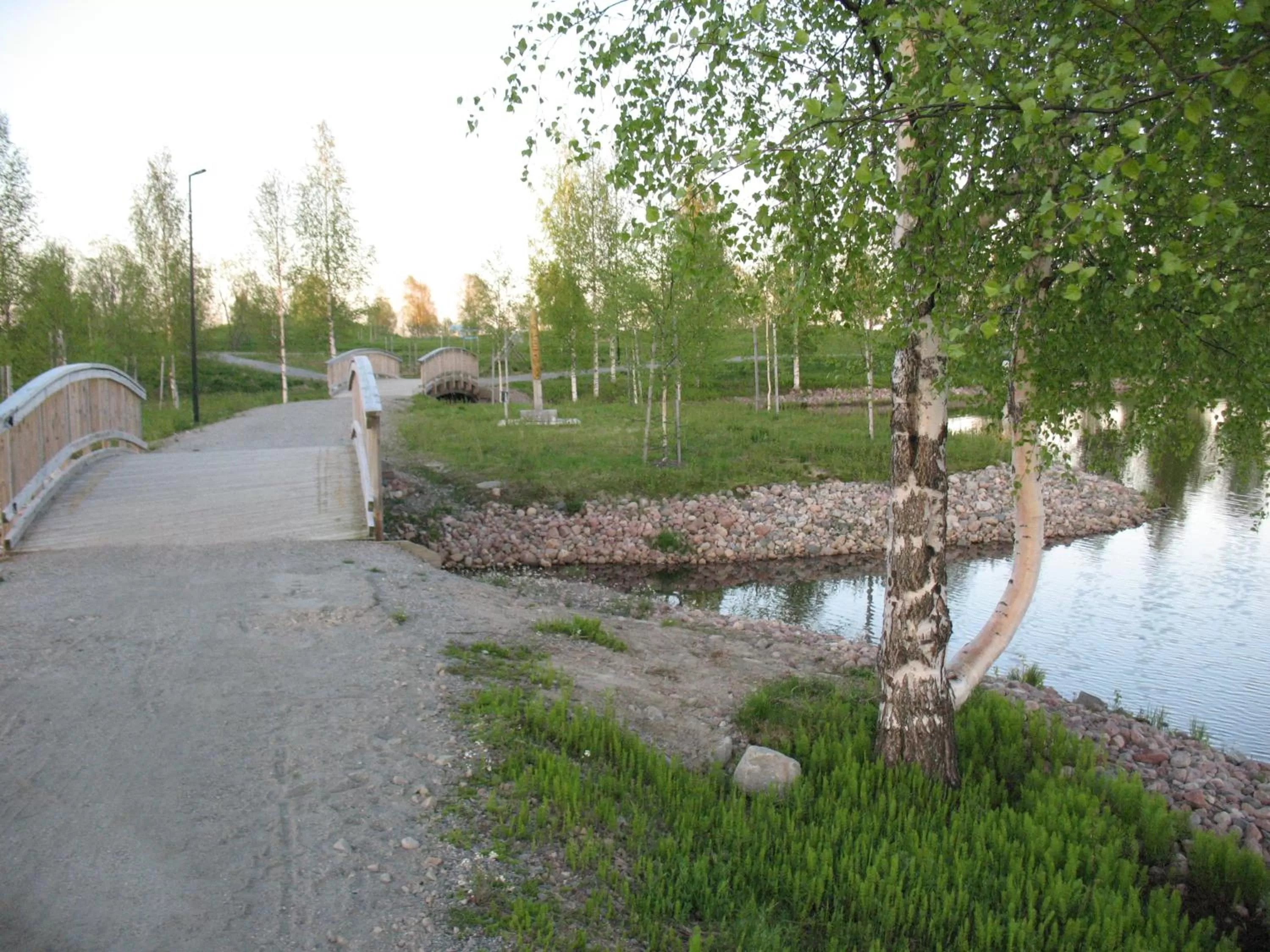 Garden in Hotel Kemijärvi