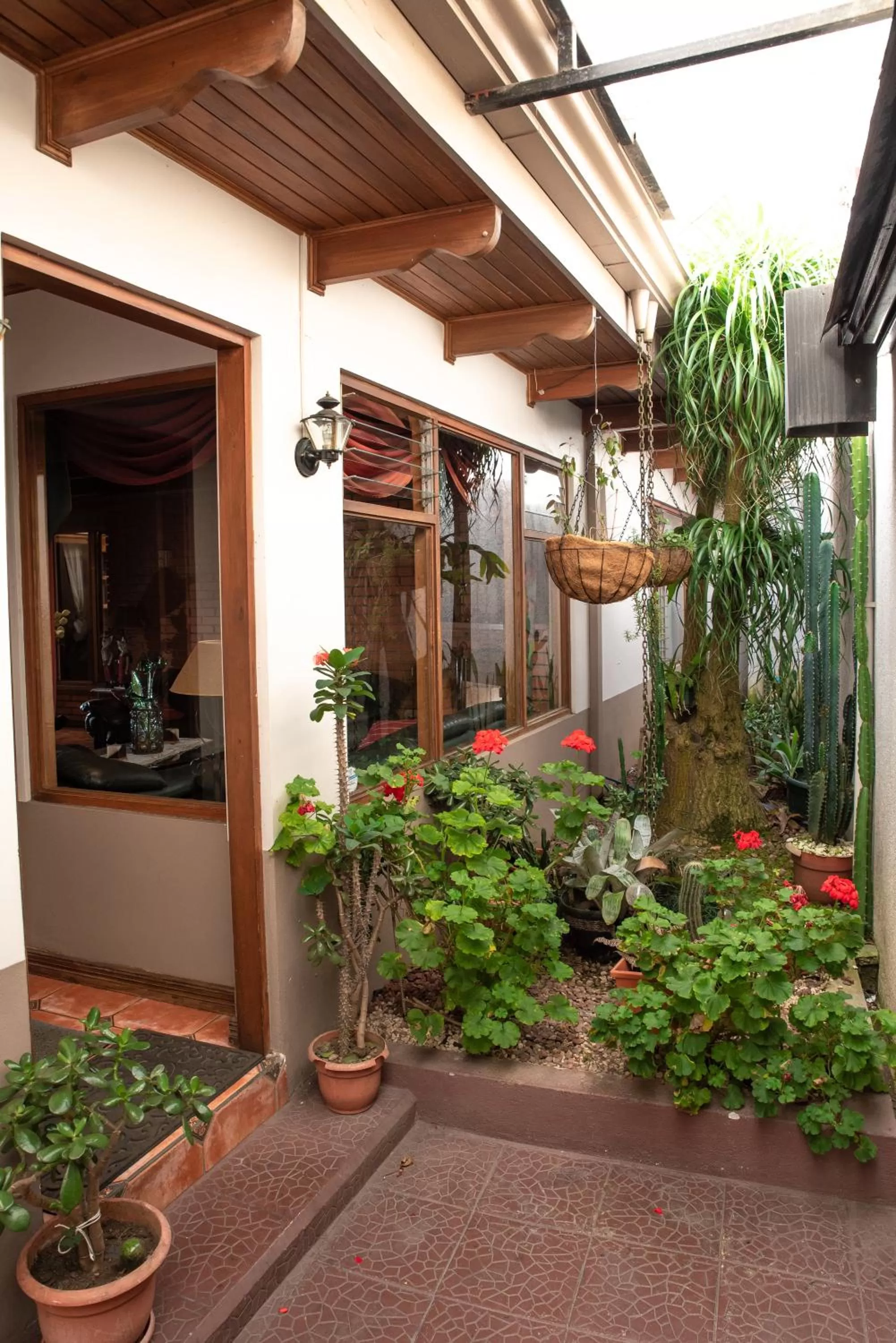 Garden in La Casa de Mamá Coyita