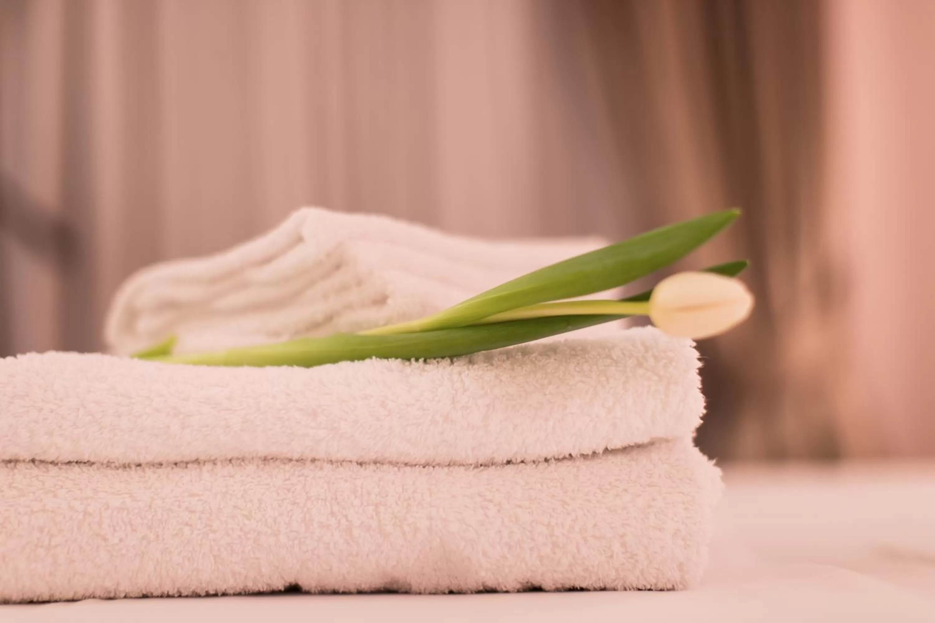 towels in Royal Hill Hotel