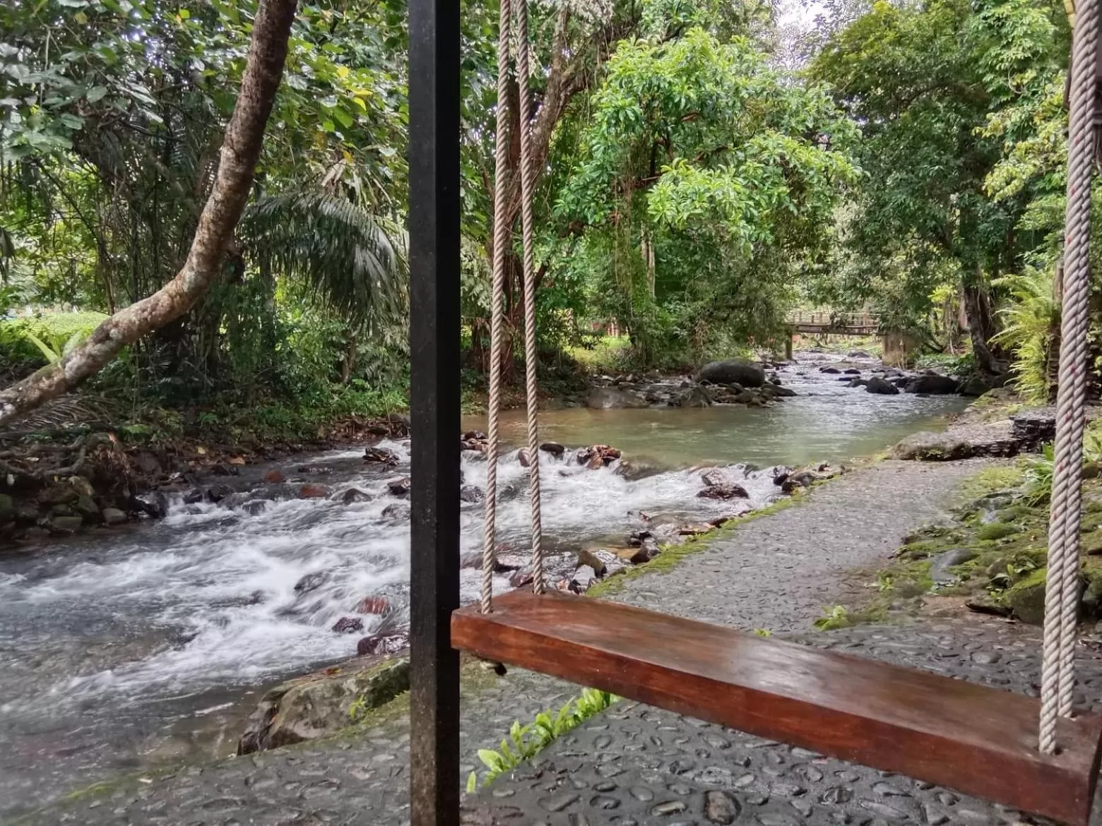 Tree Tops River Huts